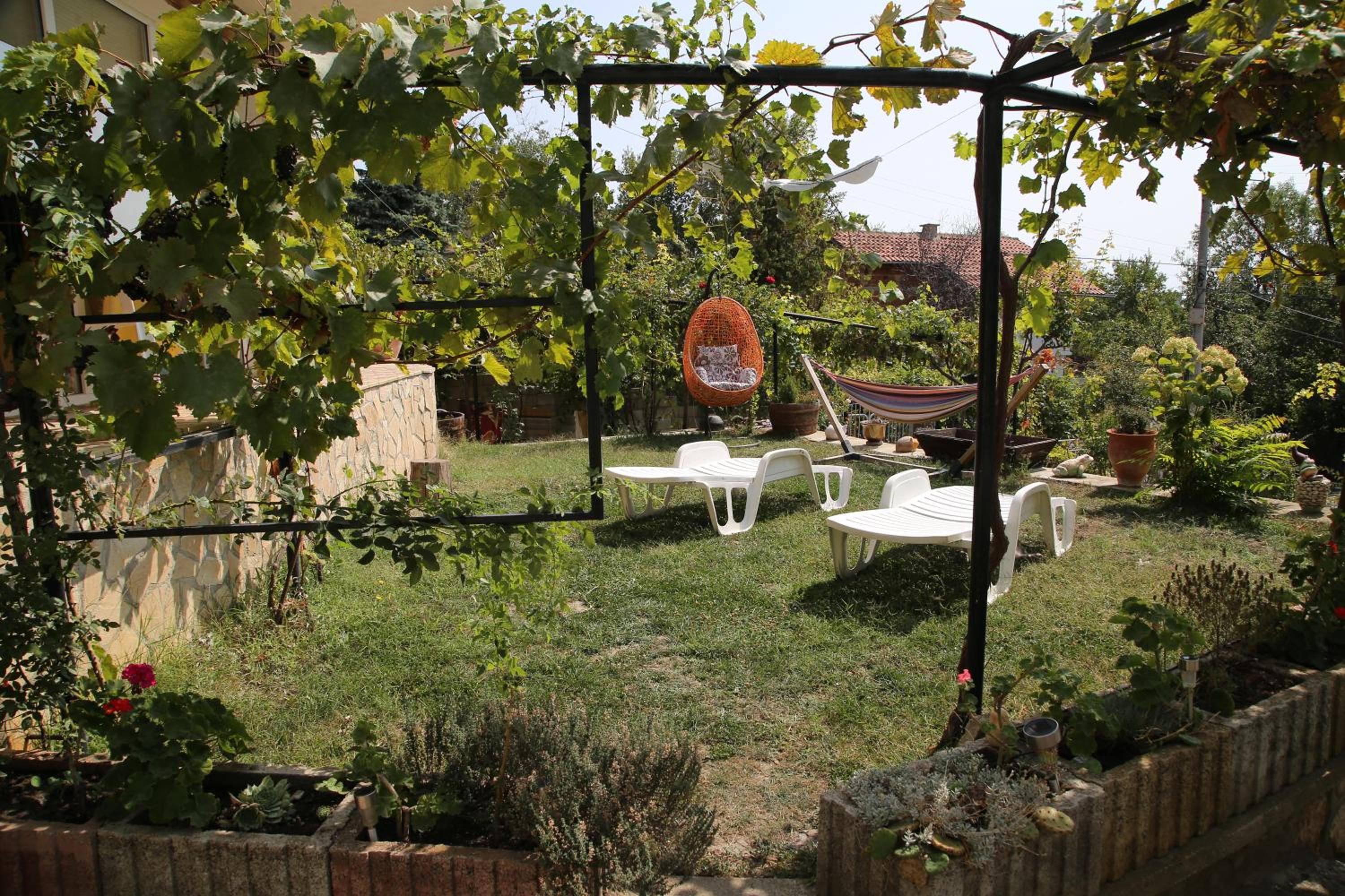 Popov Guest House