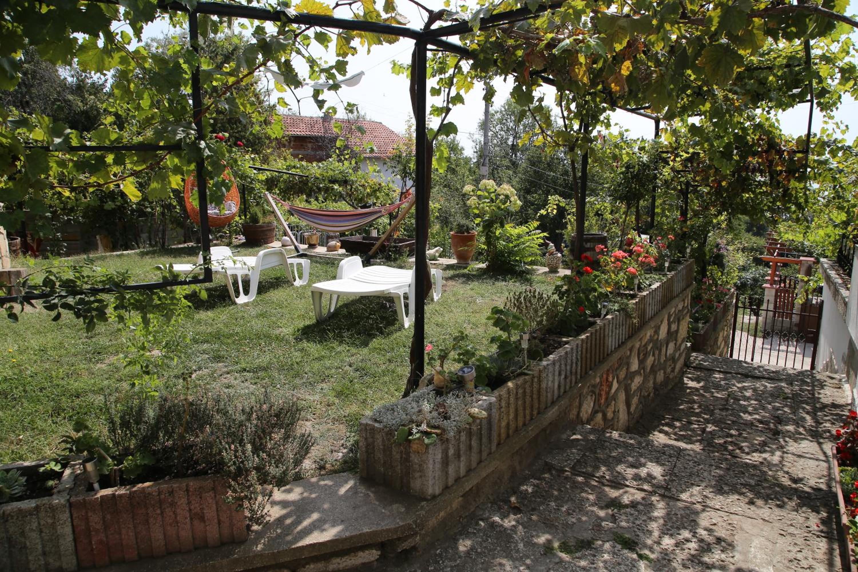 Popov Guest House