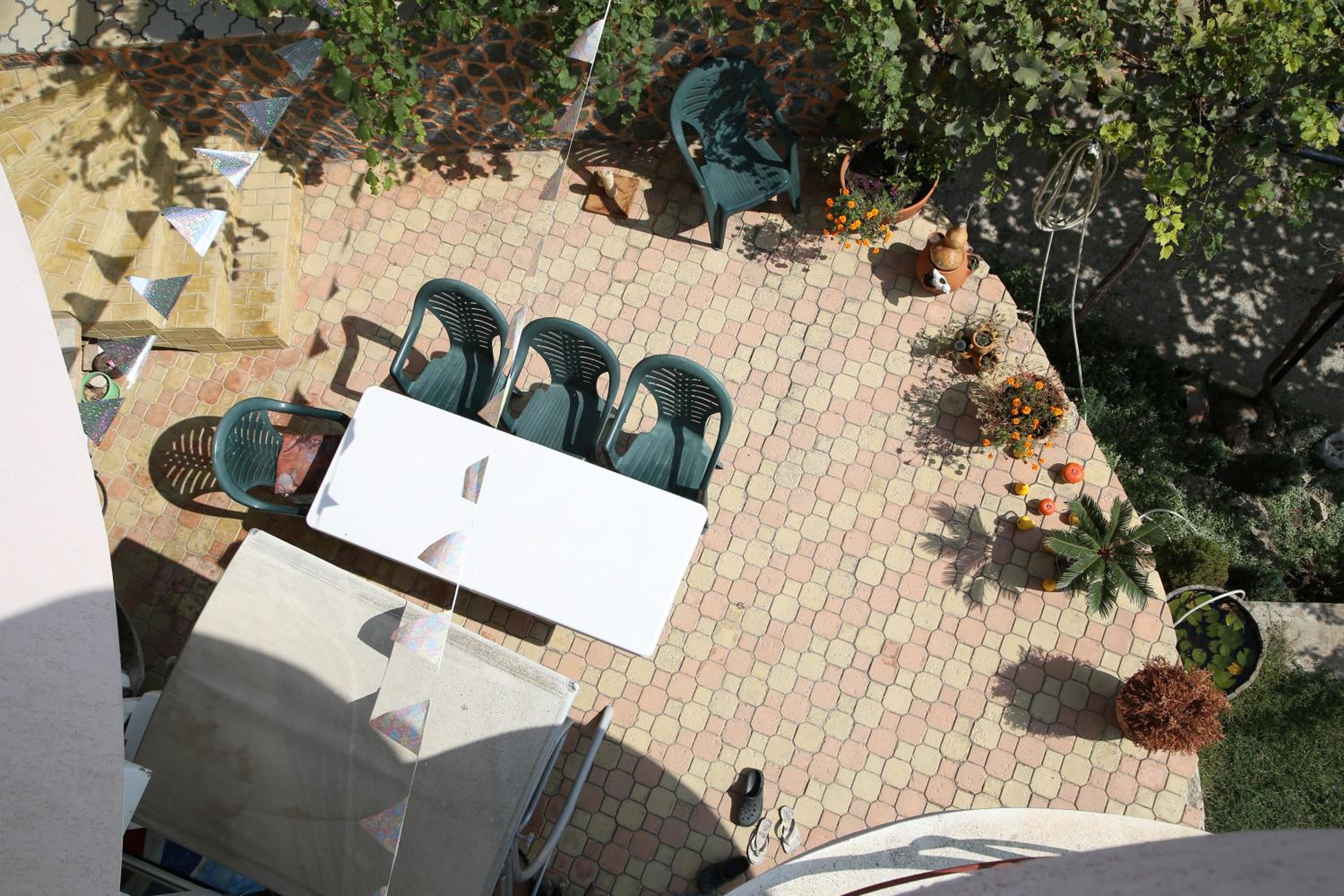 Popov Guest House