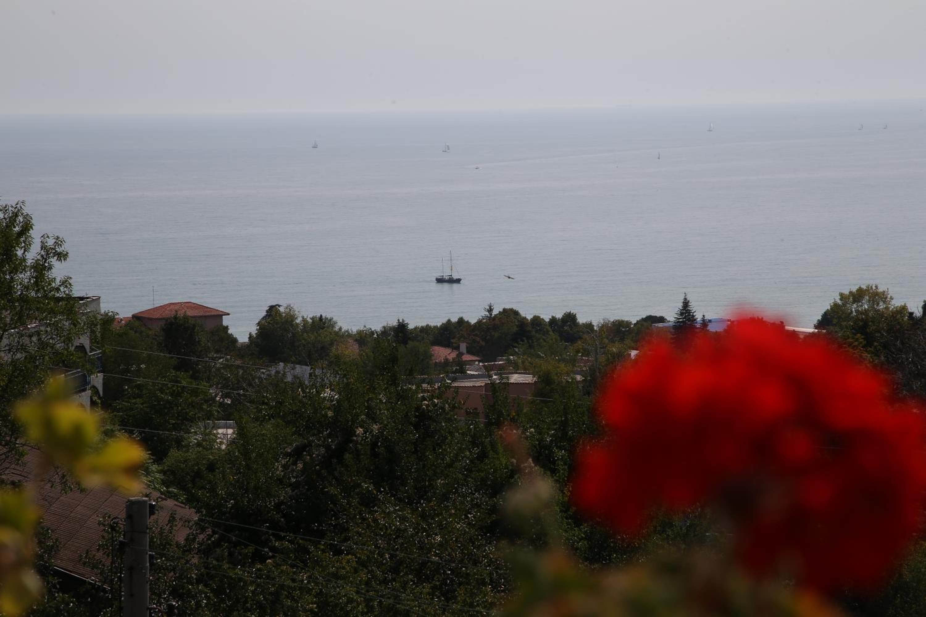 Popov Guest House