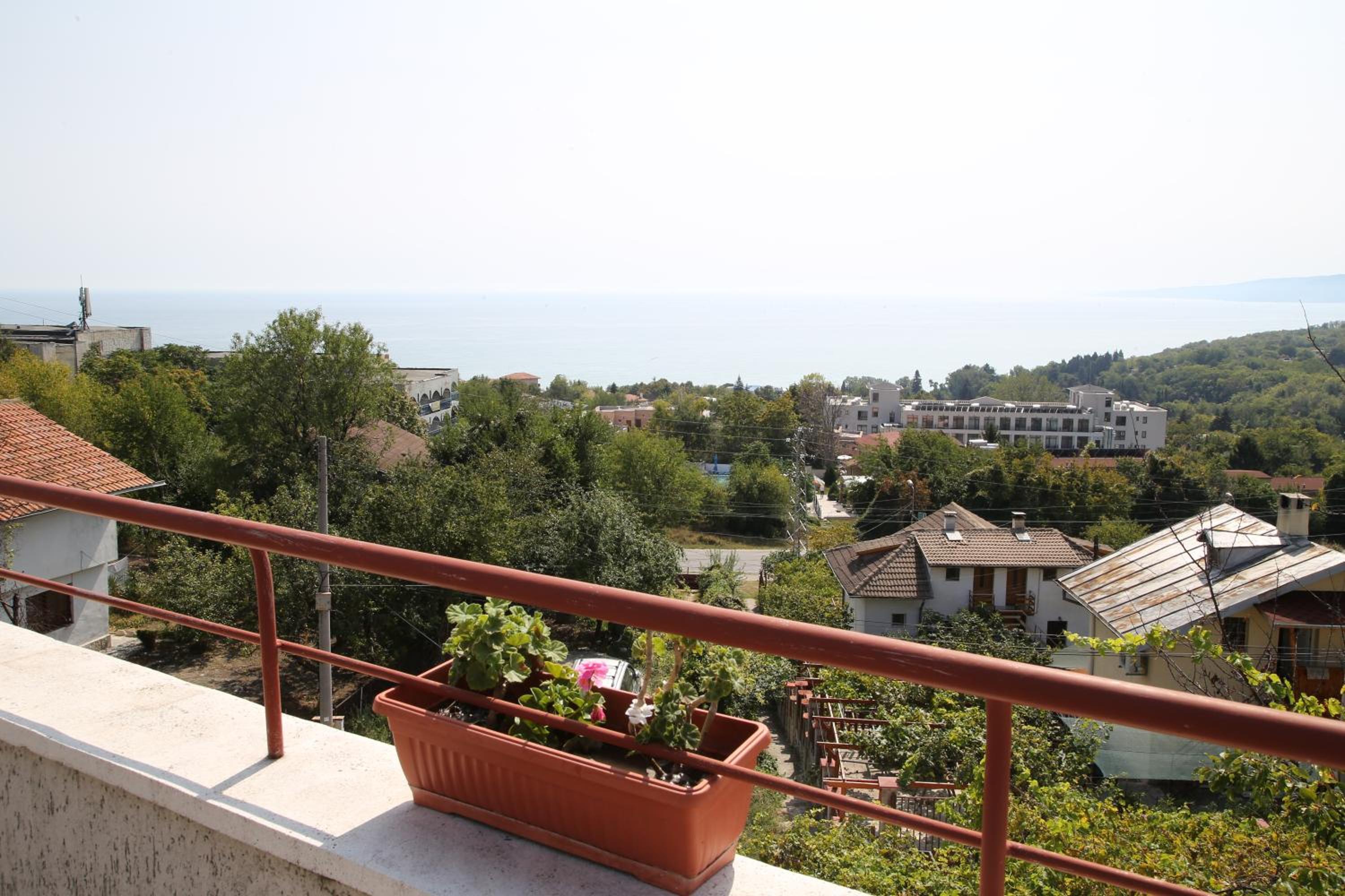 Popov Guest House