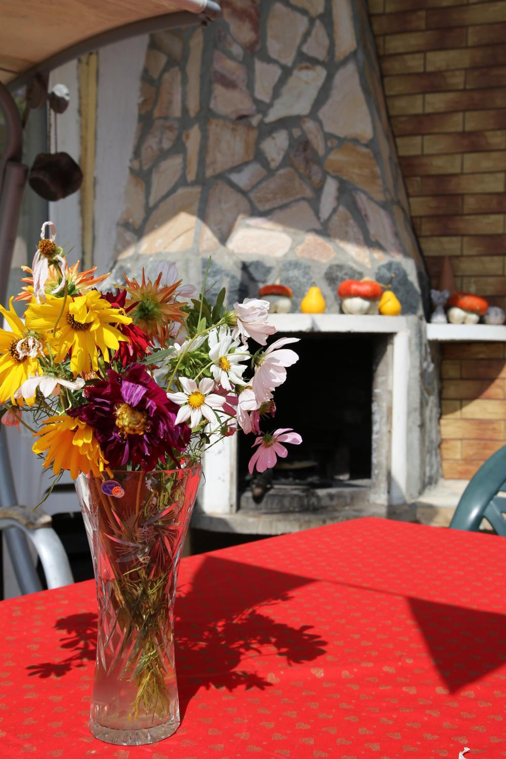 Popov Guest House