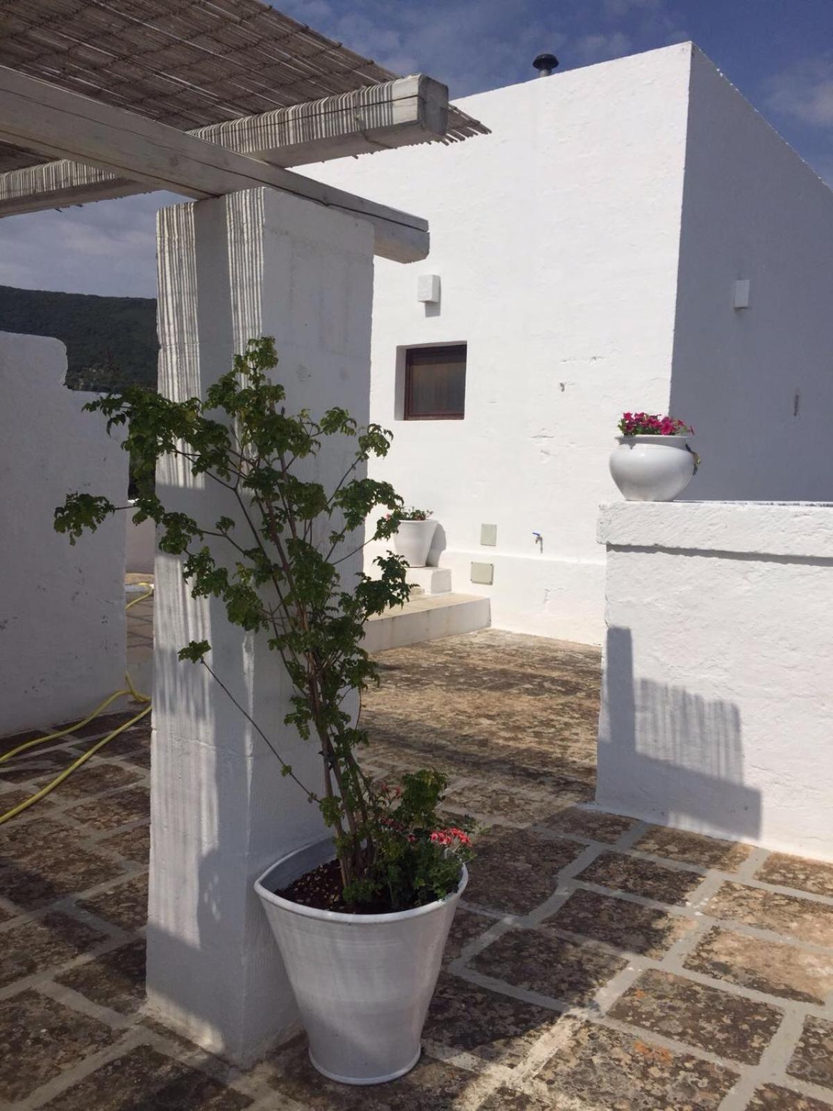 Masseria S.Oronzo view 4