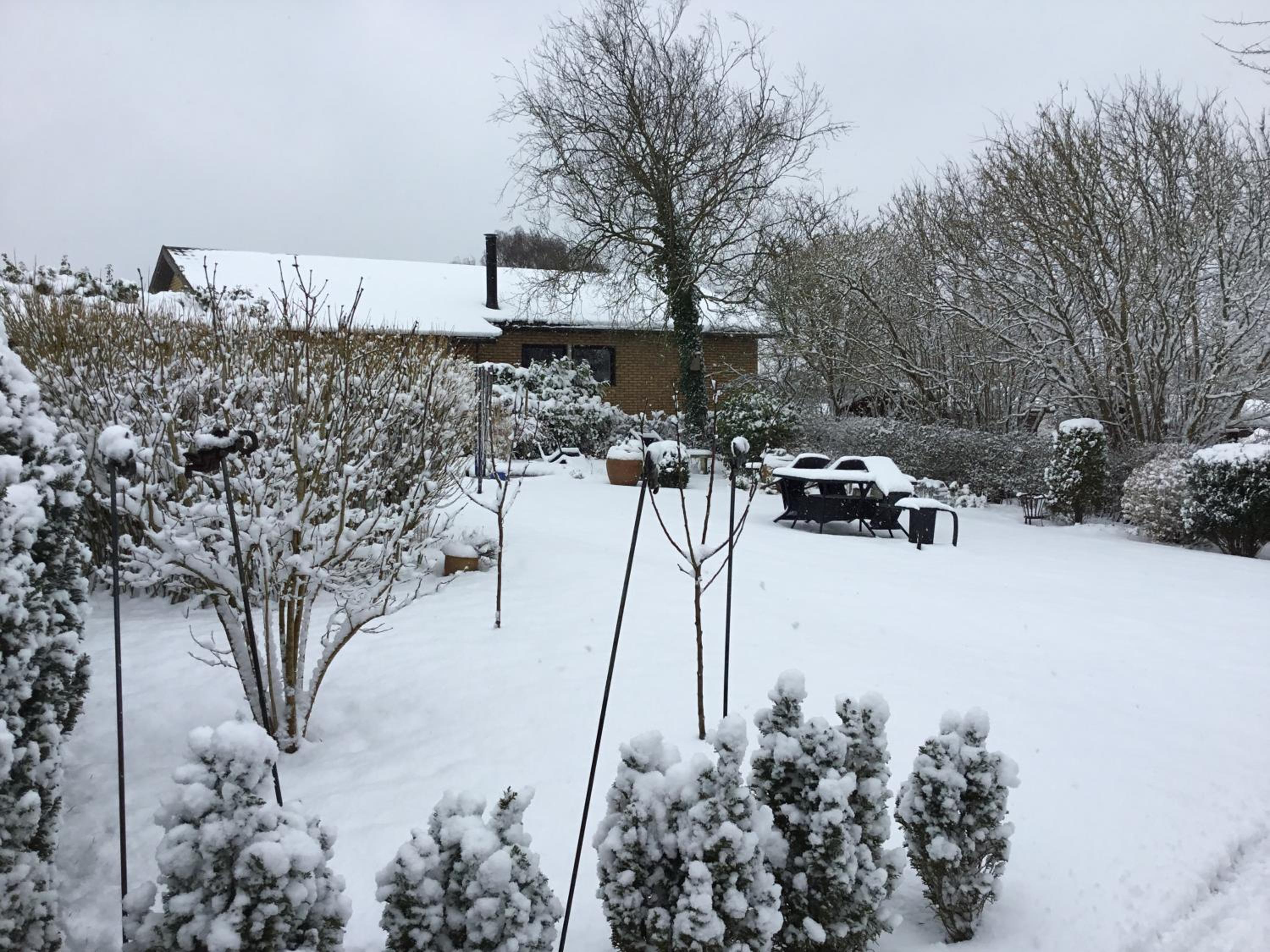 Kolding Vacations - Mit Bed  Breakfast - Property Image 7