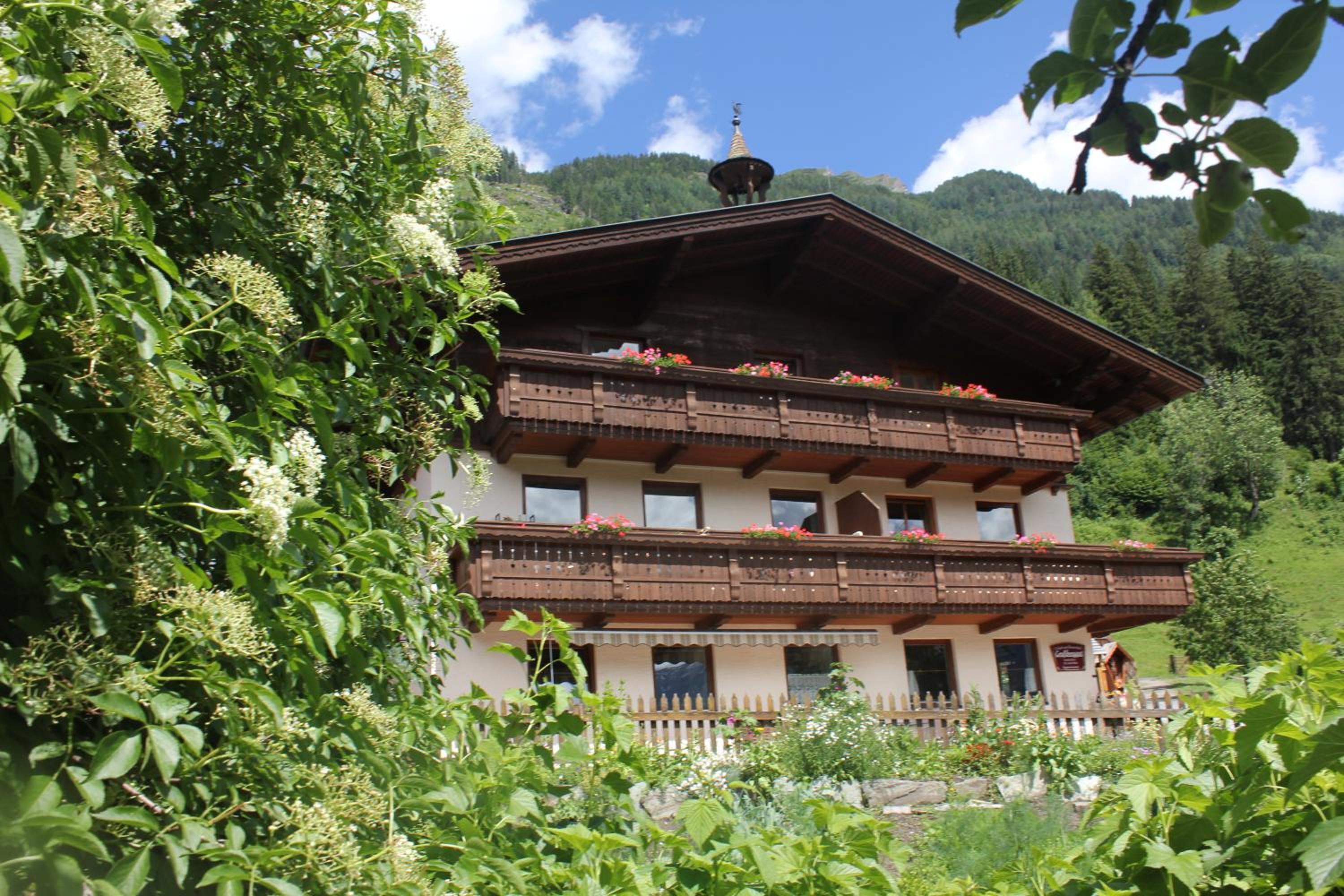 Bauernhof Grussberggut GRATIS THERME & SOMMERBERGBAHN