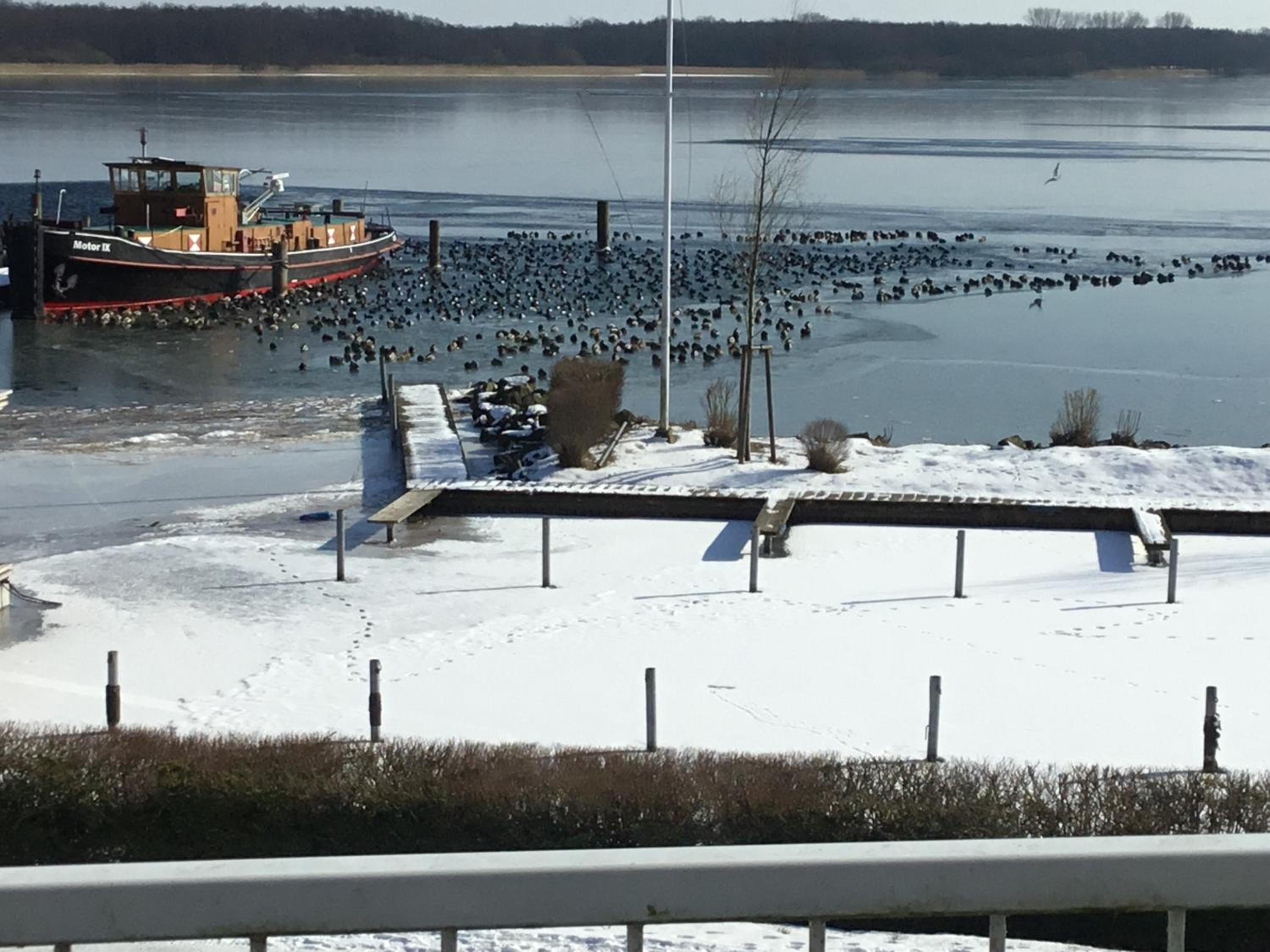 Fischerhus mit Boot,Sauna und Kamin je Seite