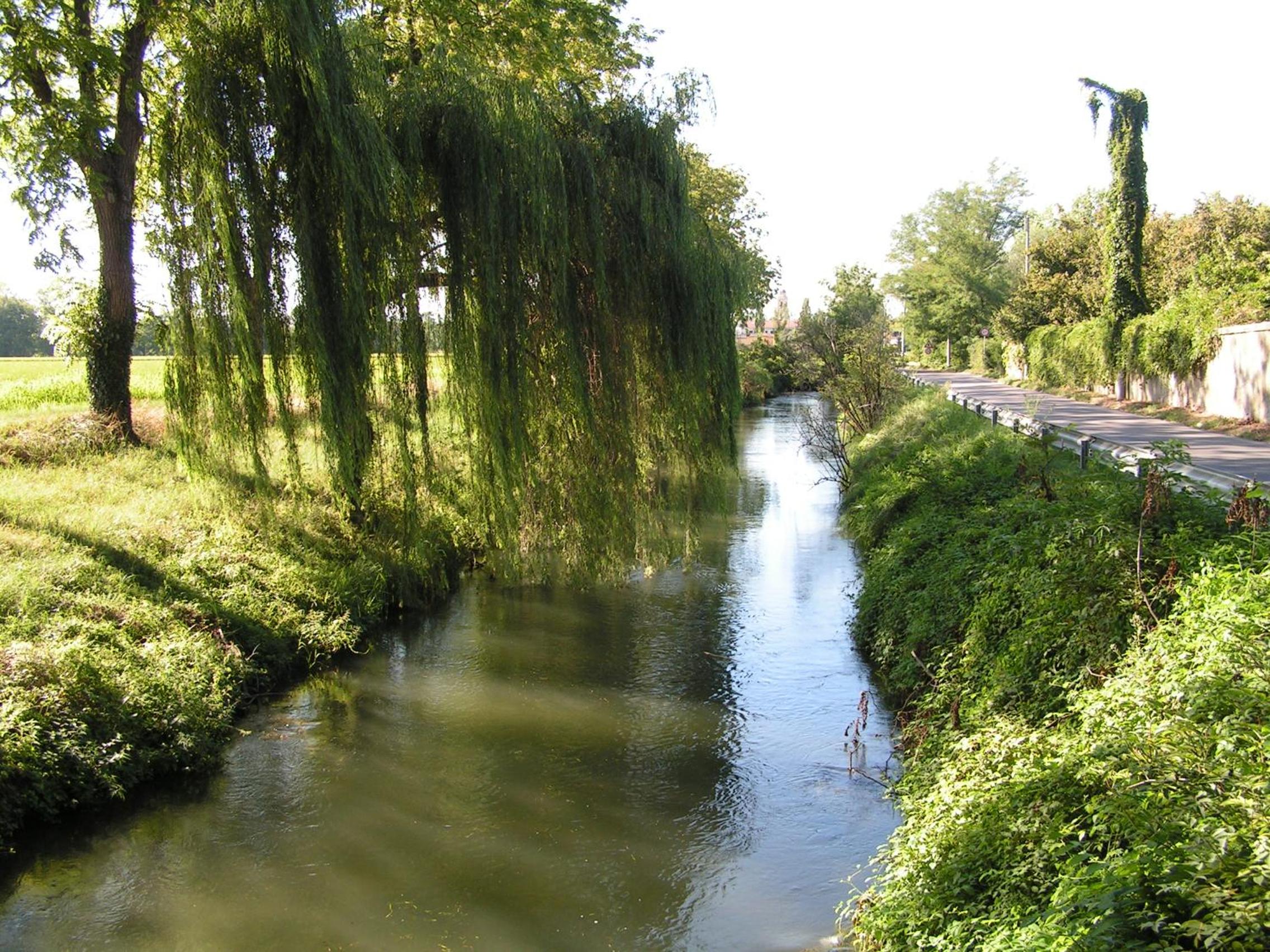 Photo 32