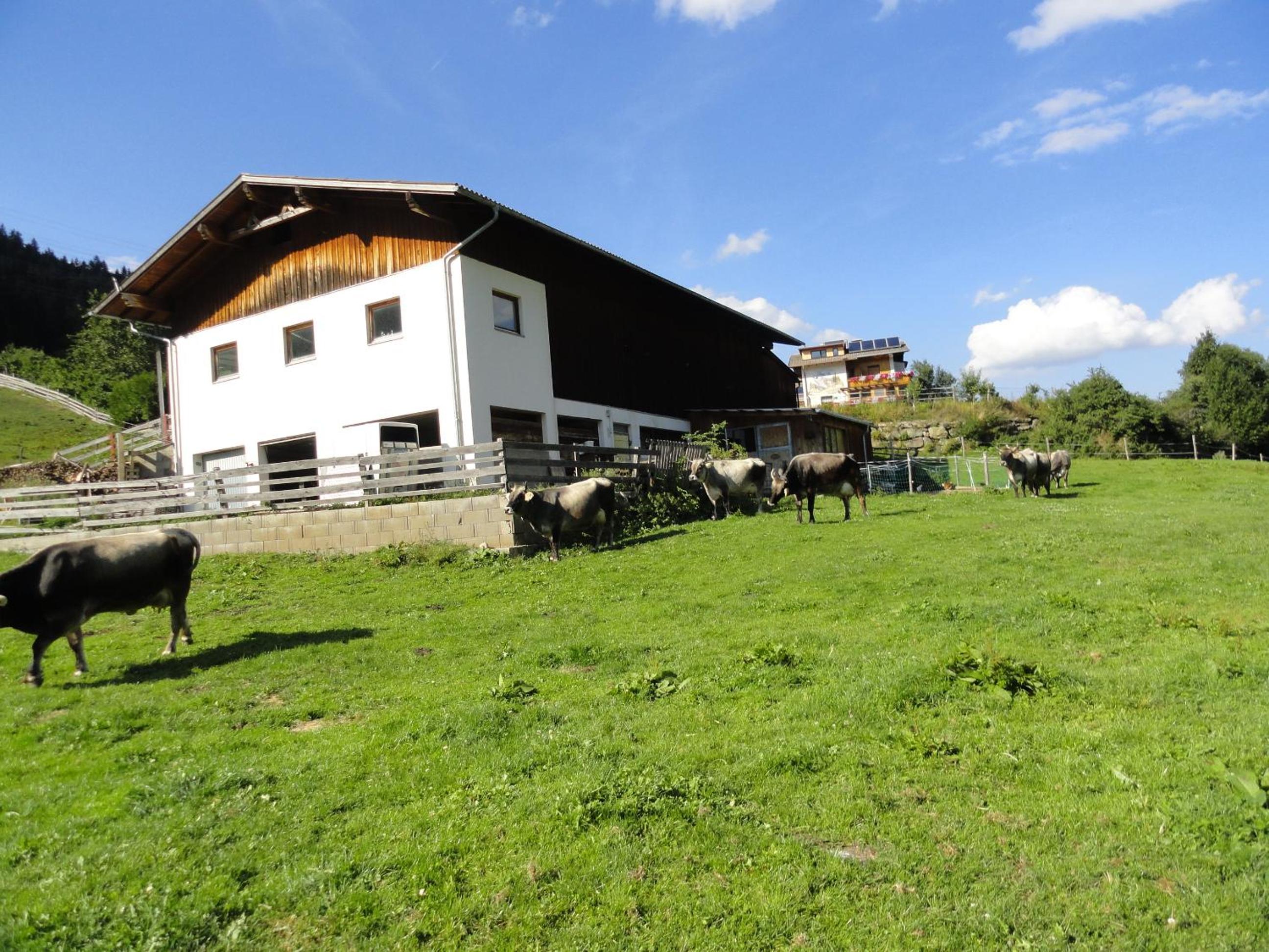 Haus Hochzeigerblick