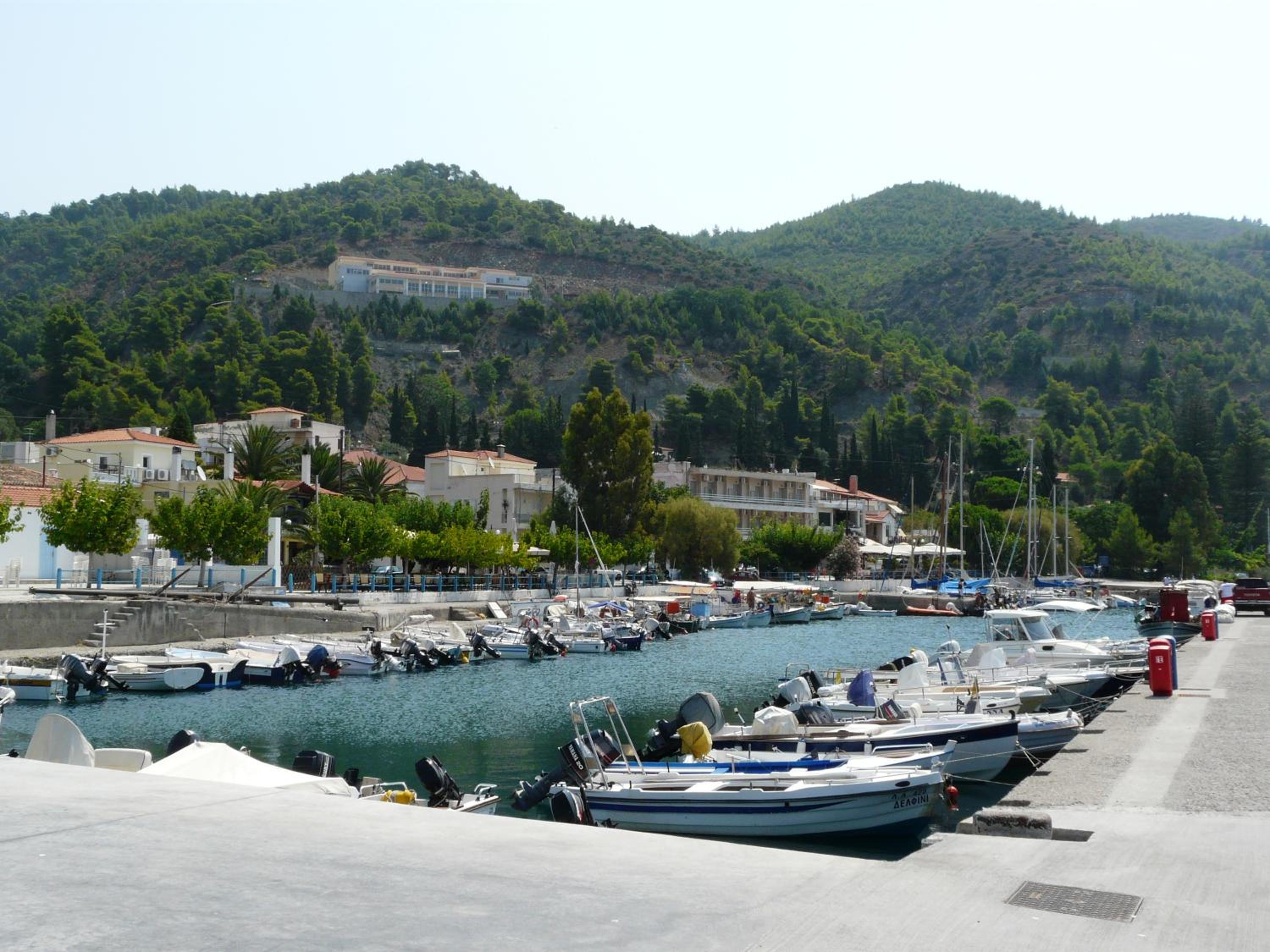 Photo 44