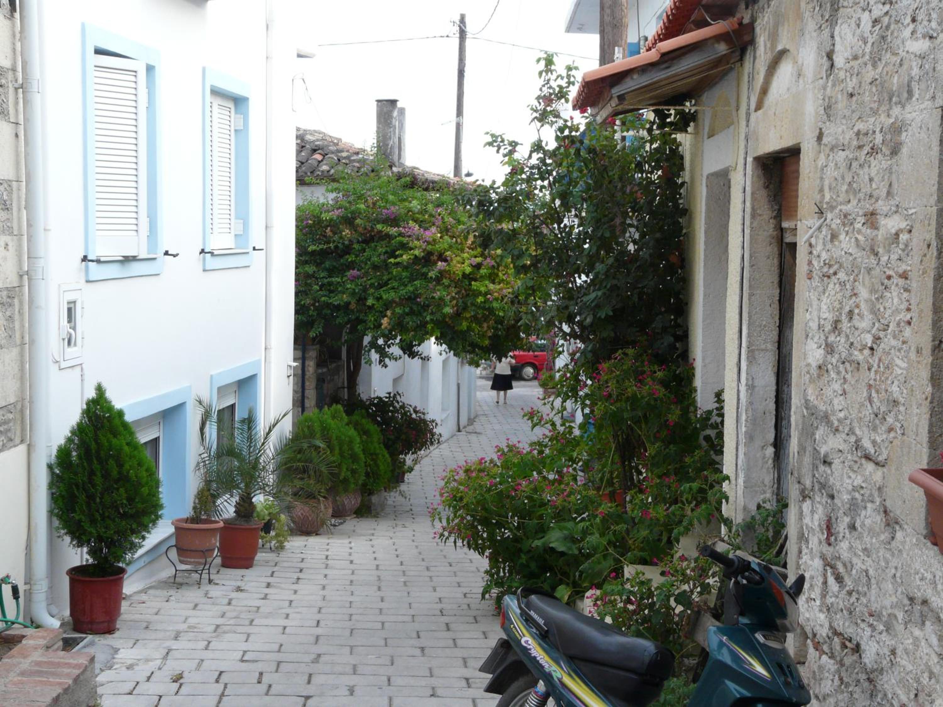Photo 41