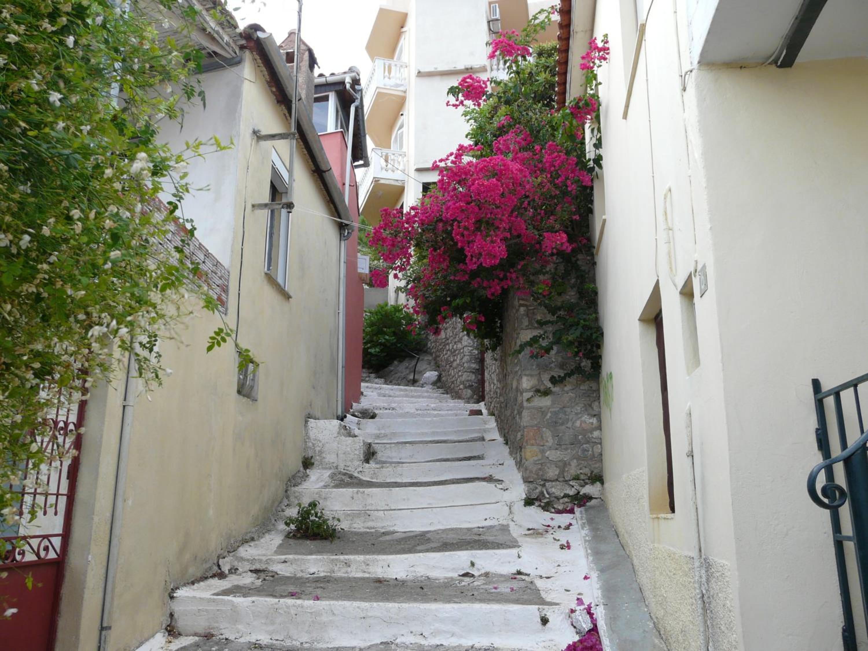 Photo 42