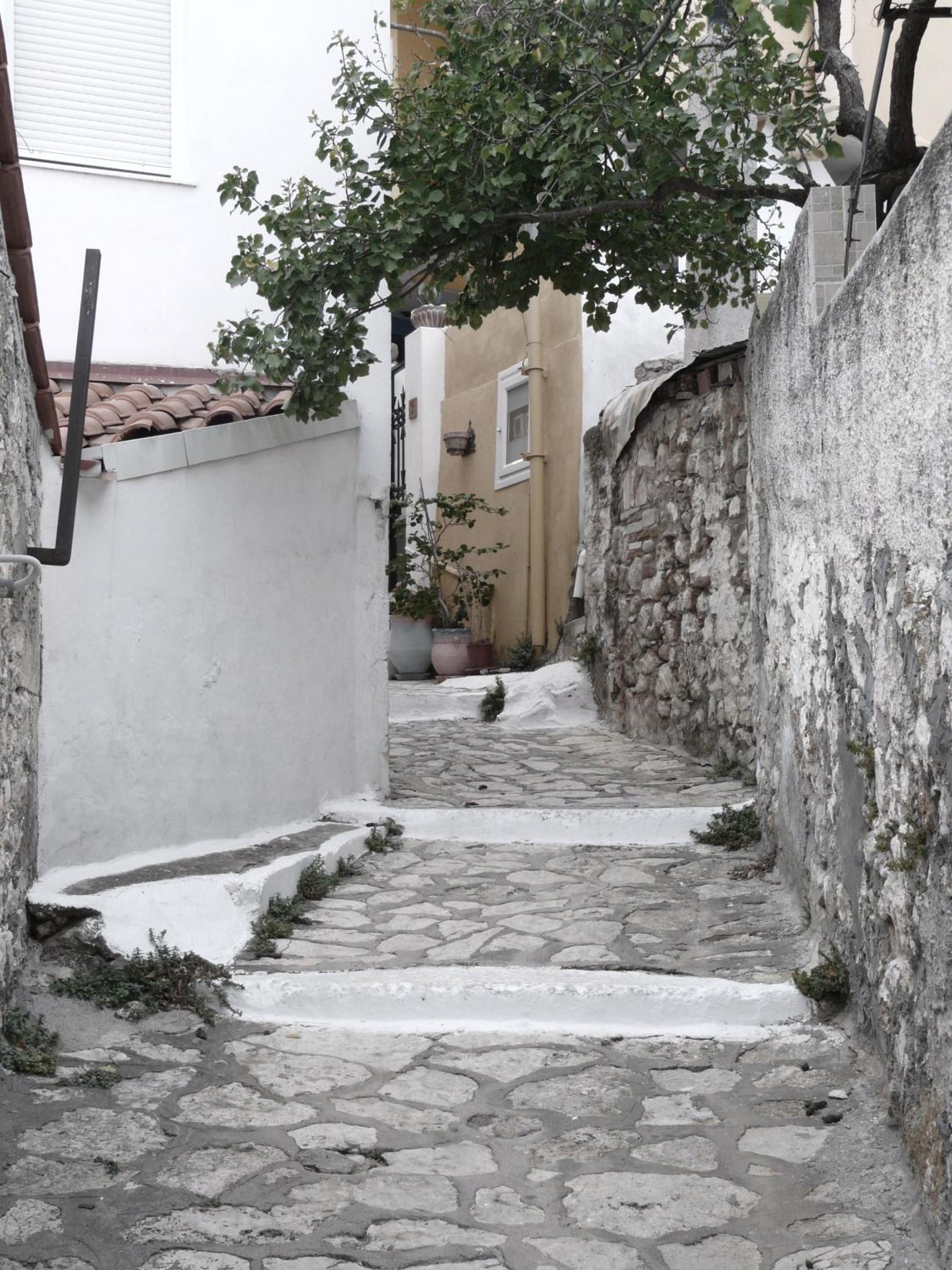 Photo 43