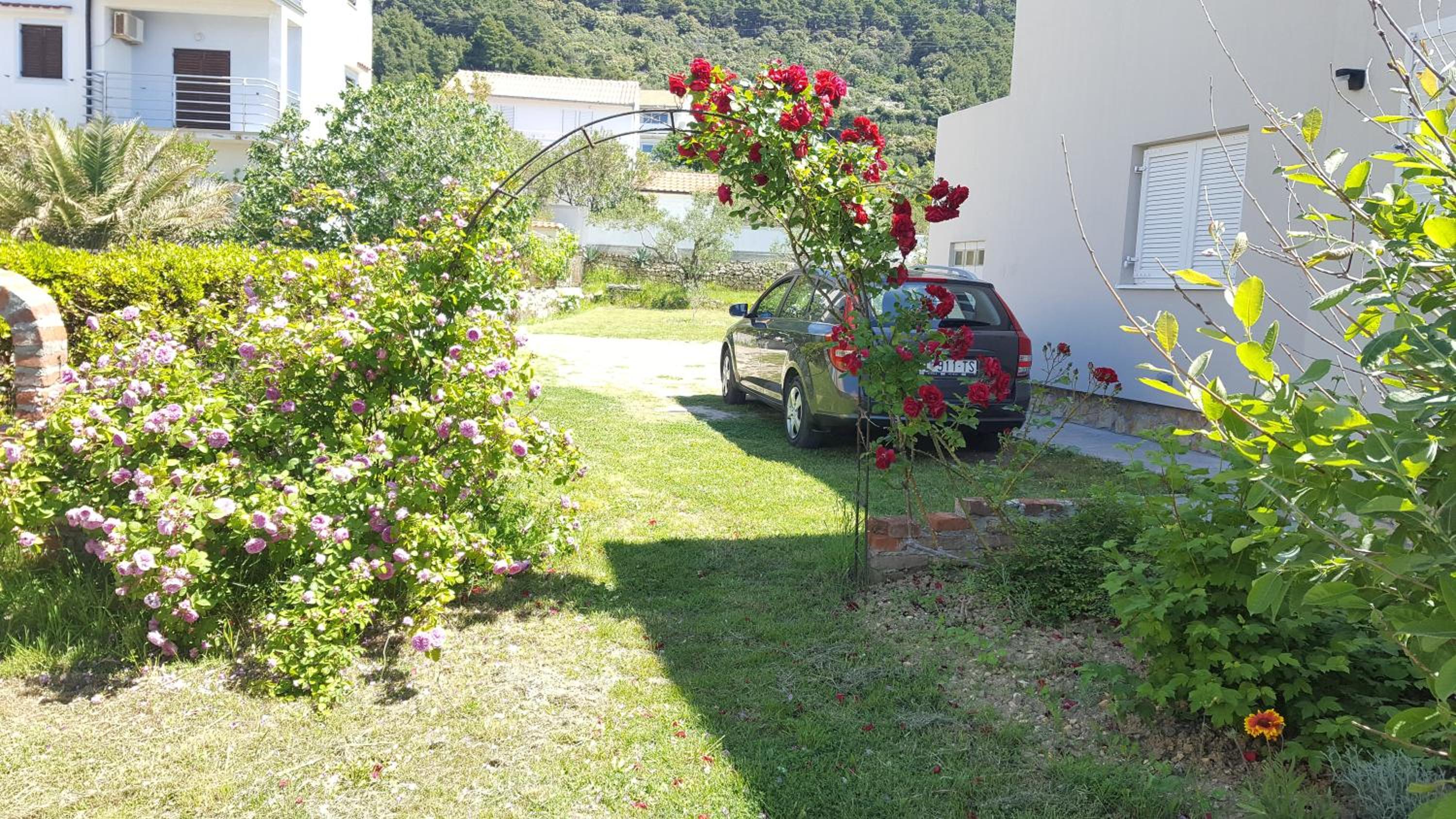 Apartments Manuel photo 3