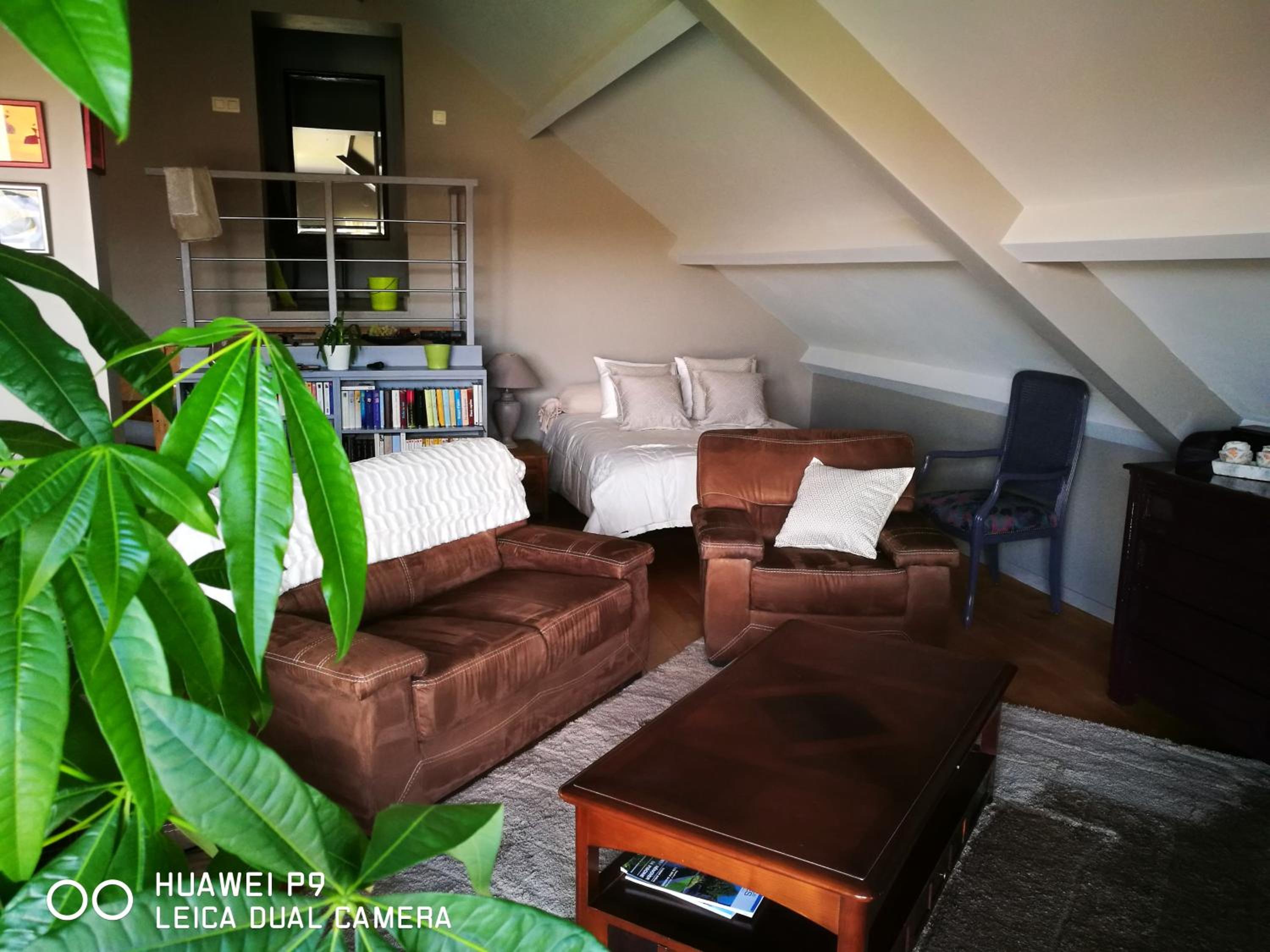 Photo 52