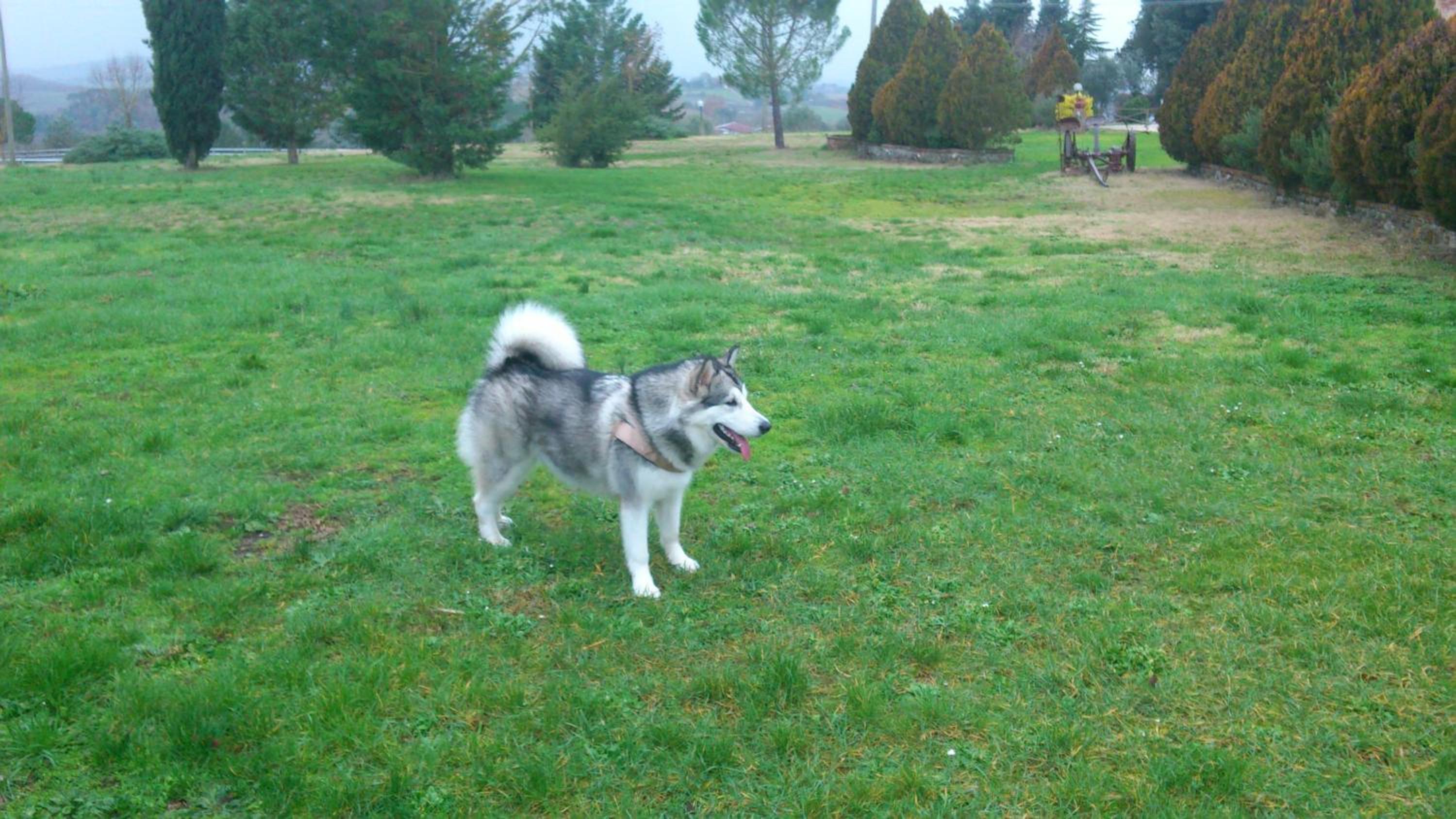 Photo 40