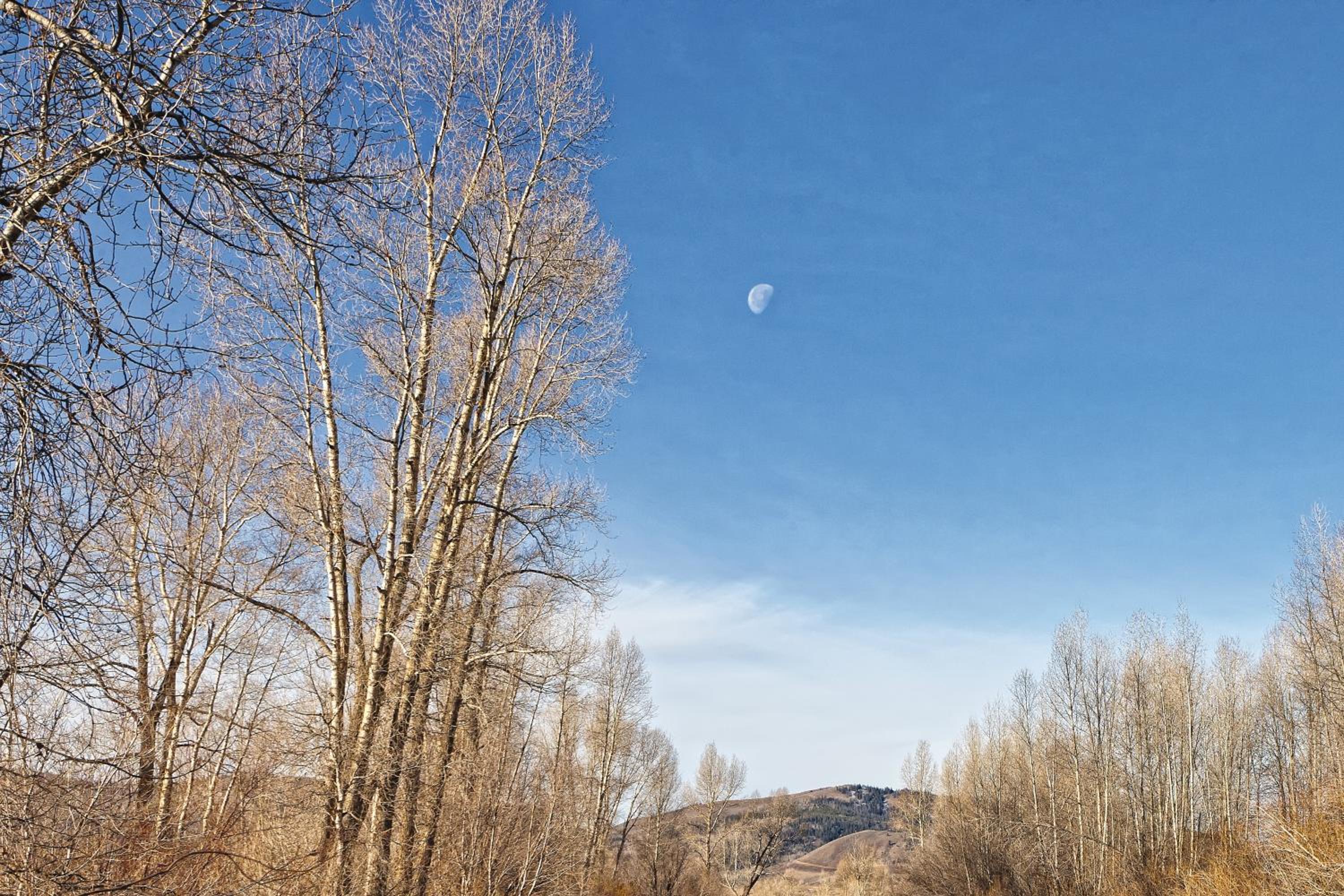 WorldMark Granby - Rocky Mountain Preserve