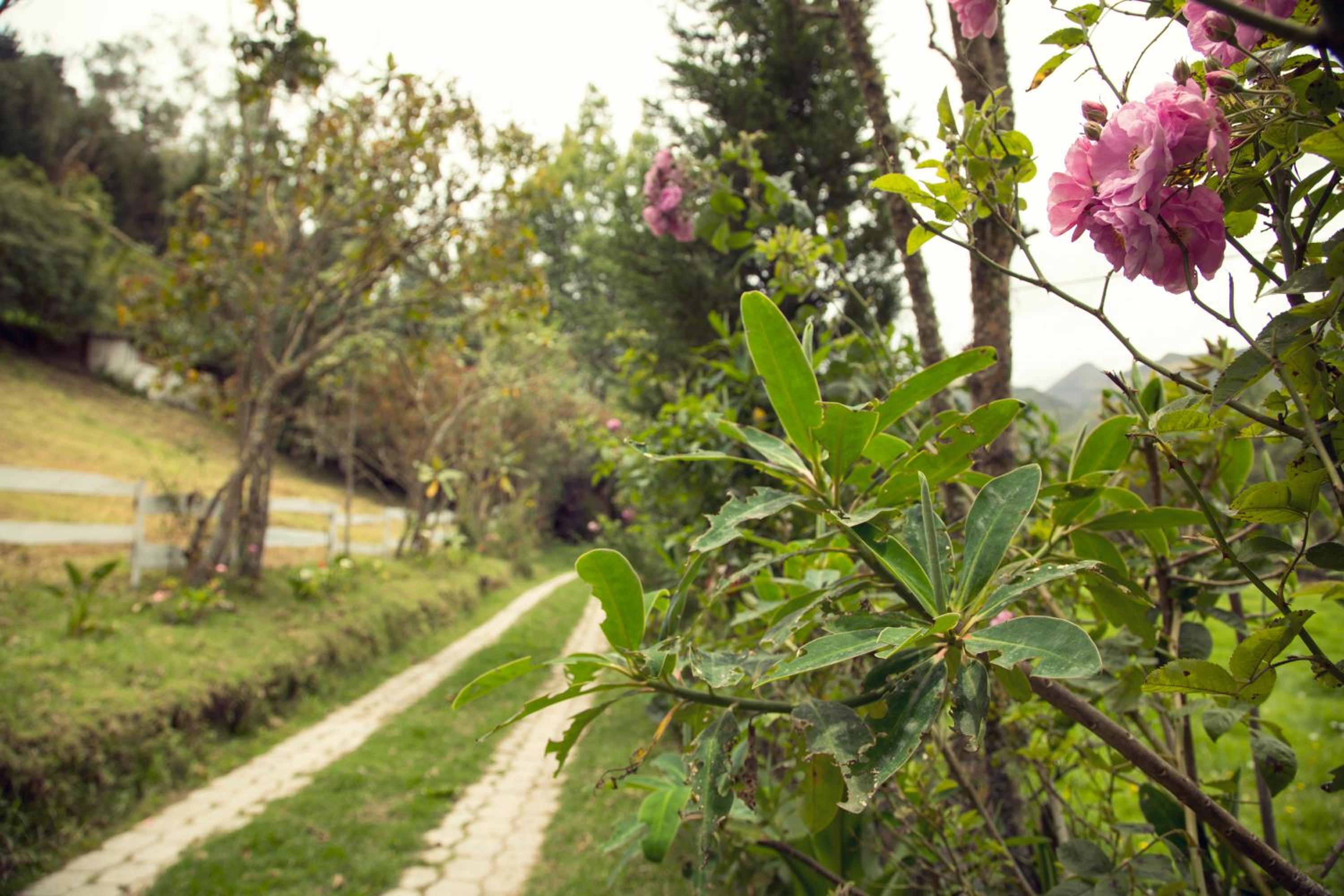Estancia De La Campiña