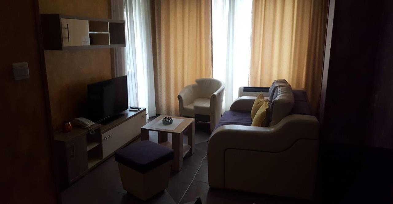 Apartman Centar Lux view 2