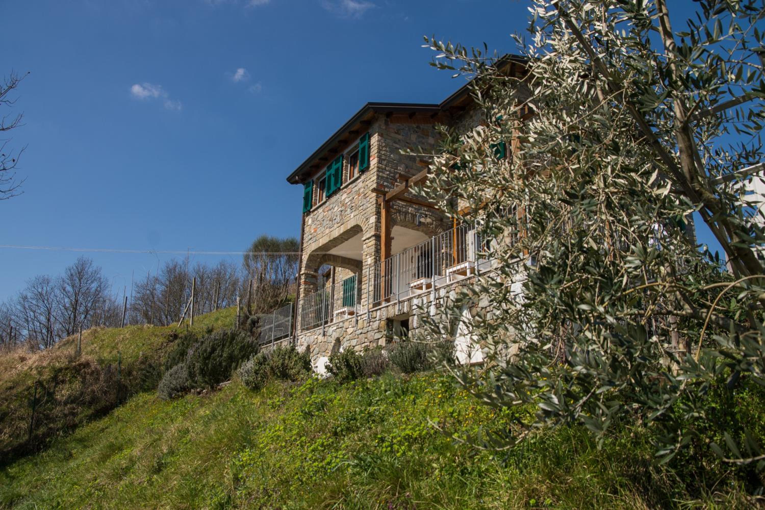 Photo 17