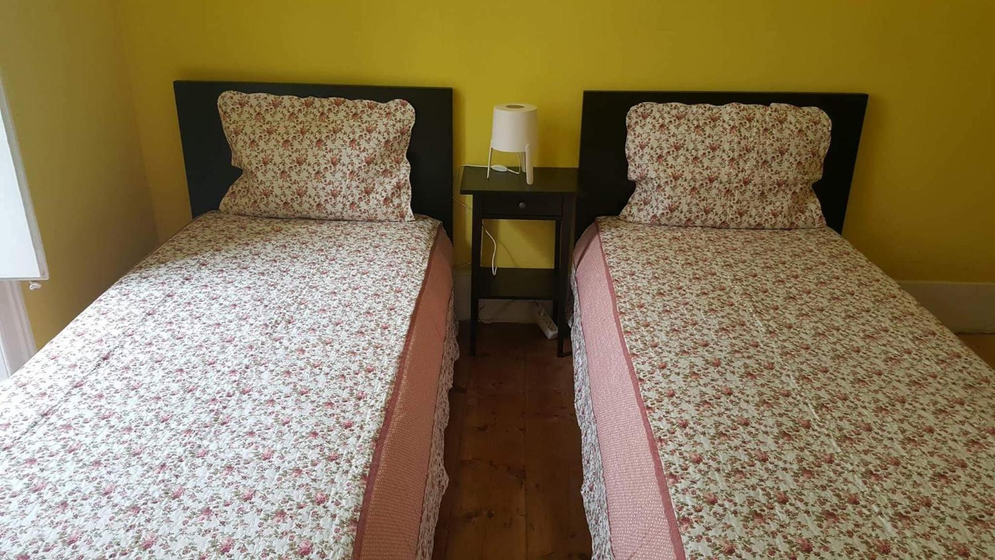 Cenário Catita Hostel