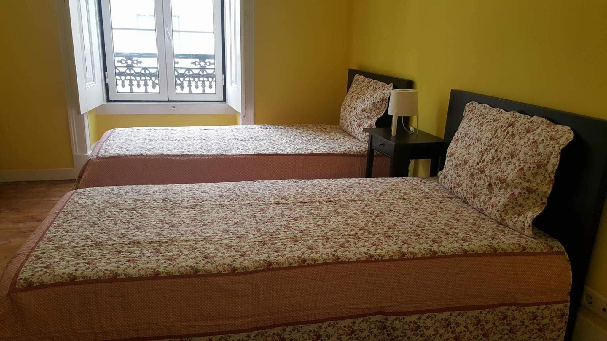 Cenário Catita Hostel