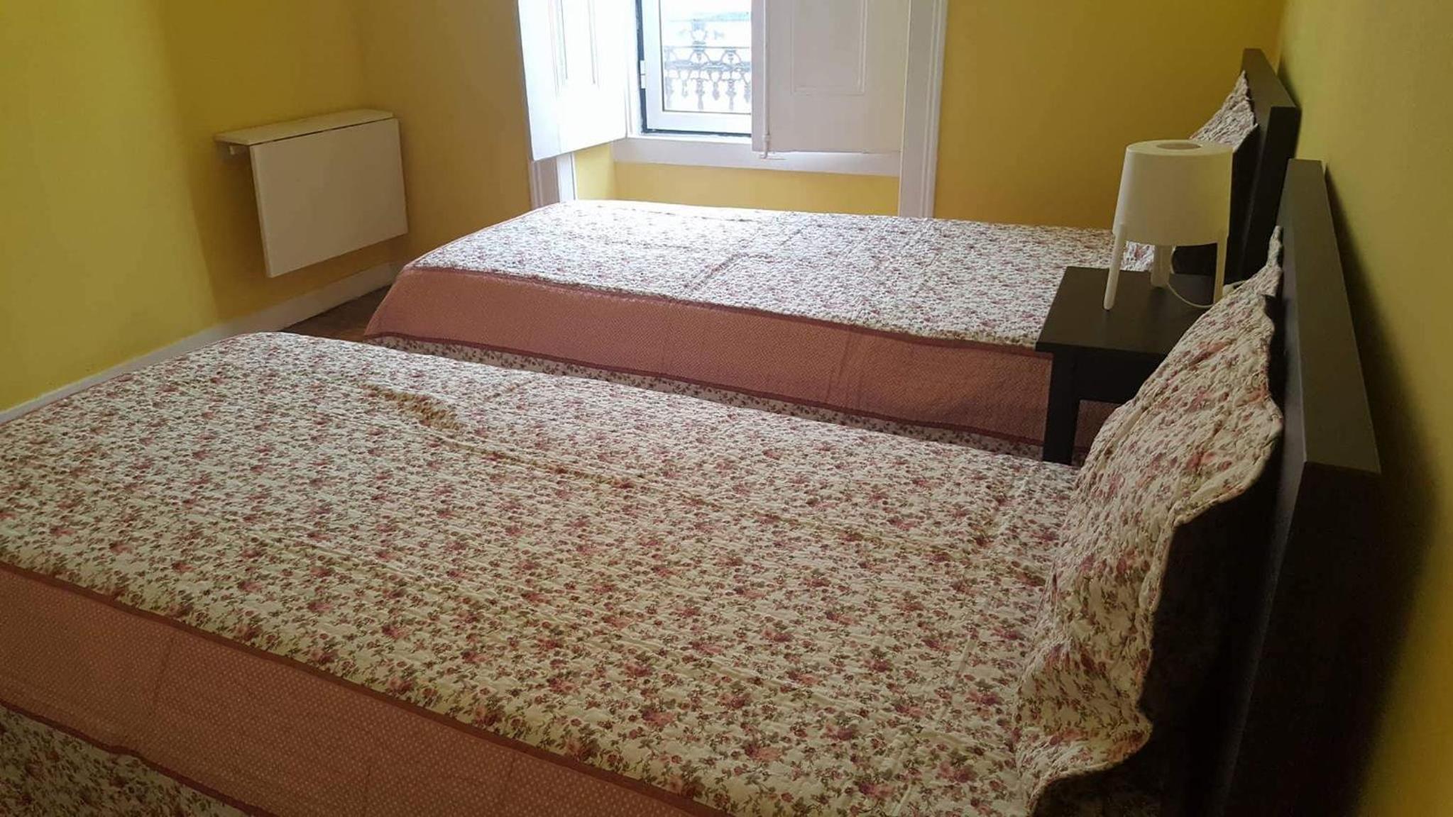 Cenário Catita Hostel
