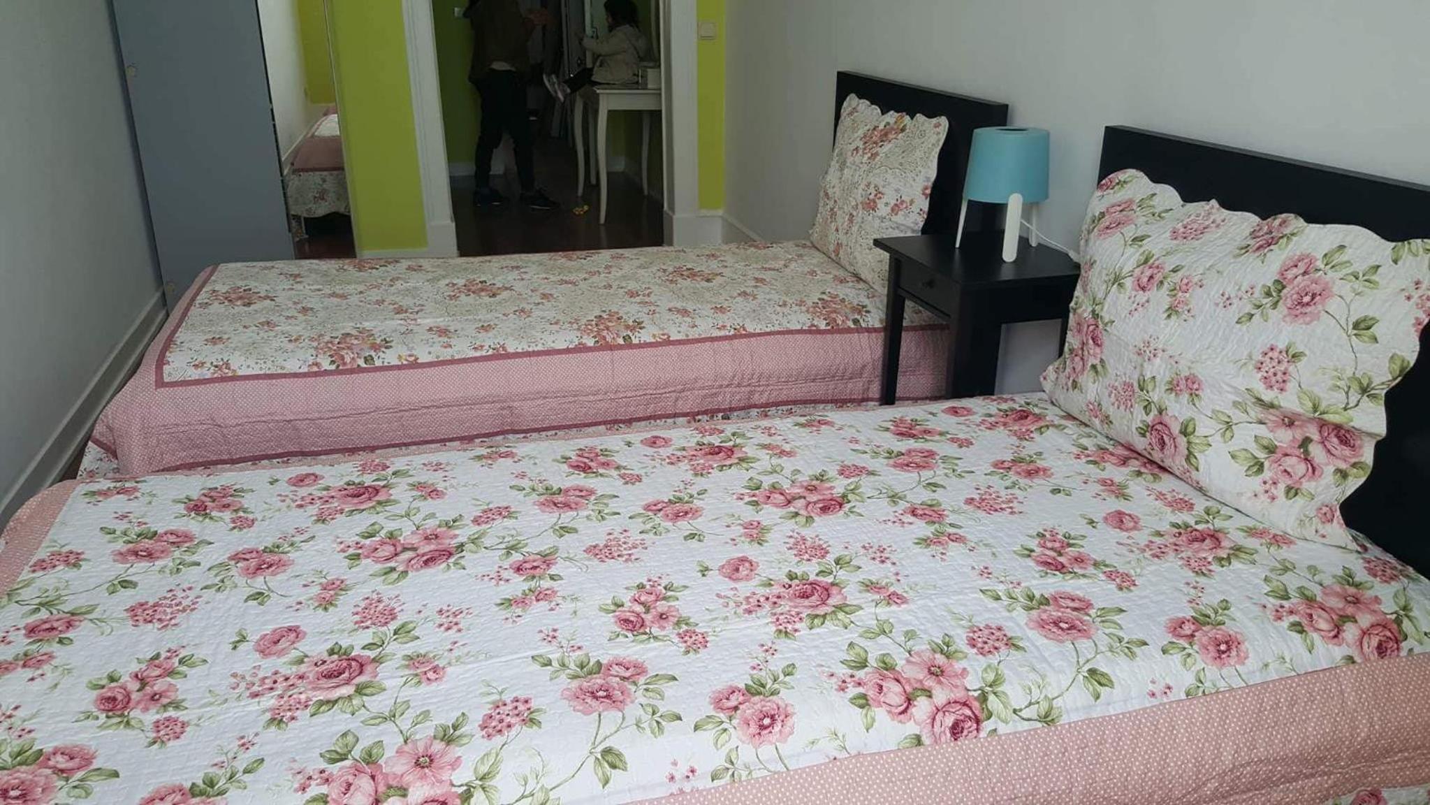 Cenário Catita Hostel