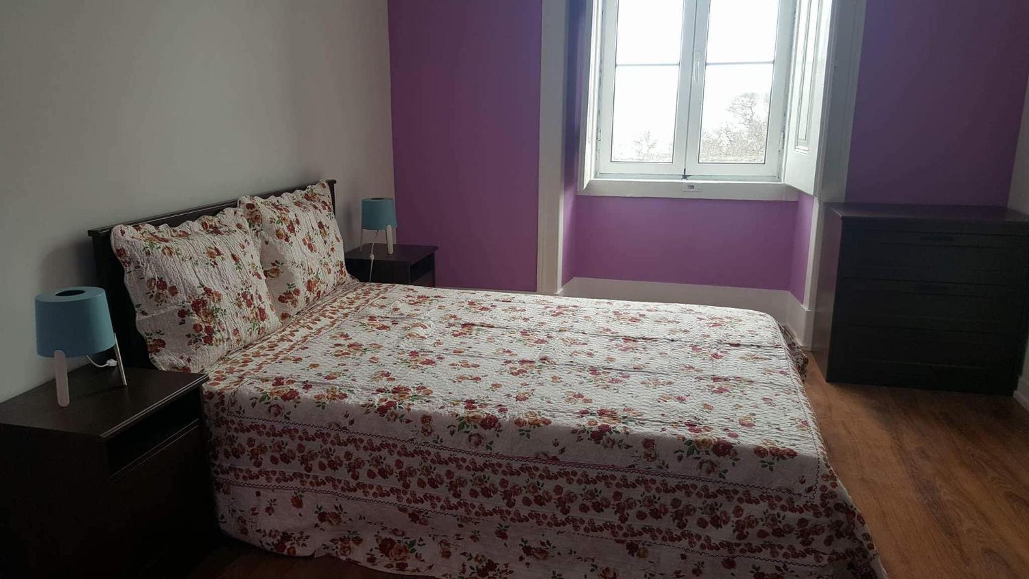 Cenário Catita Hostel