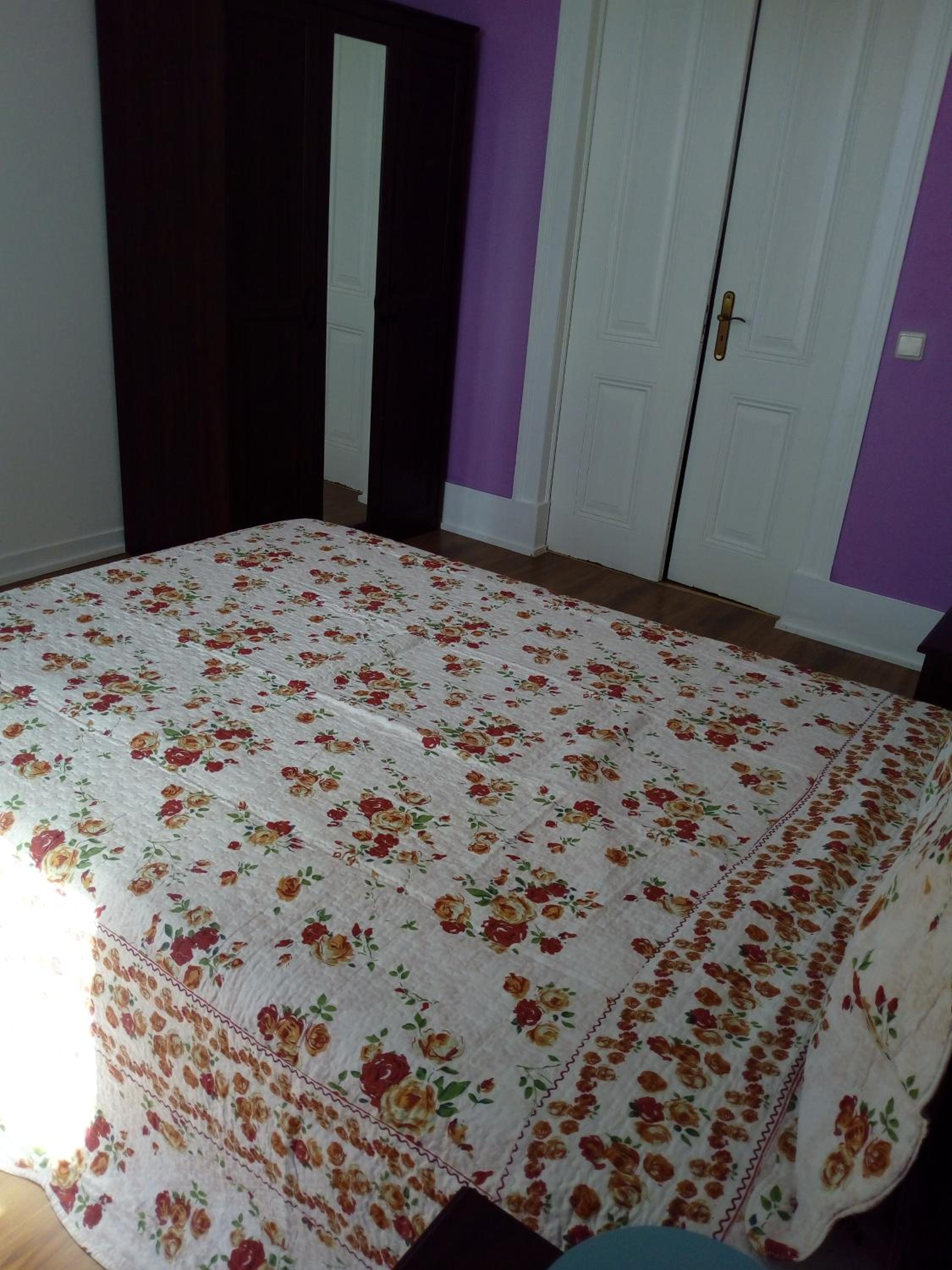 Cenário Catita Hostel