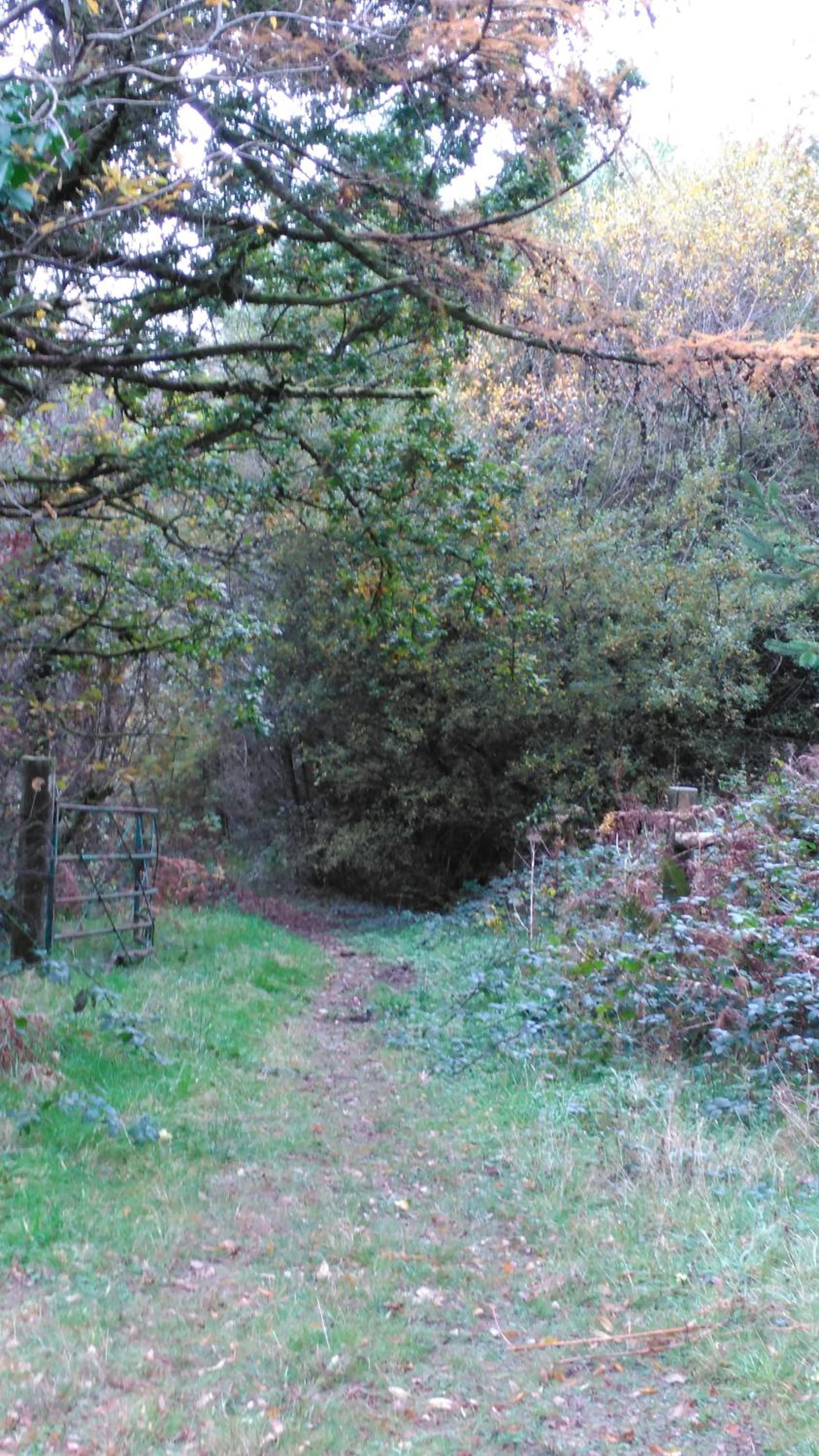 cwmddol fawr cottage