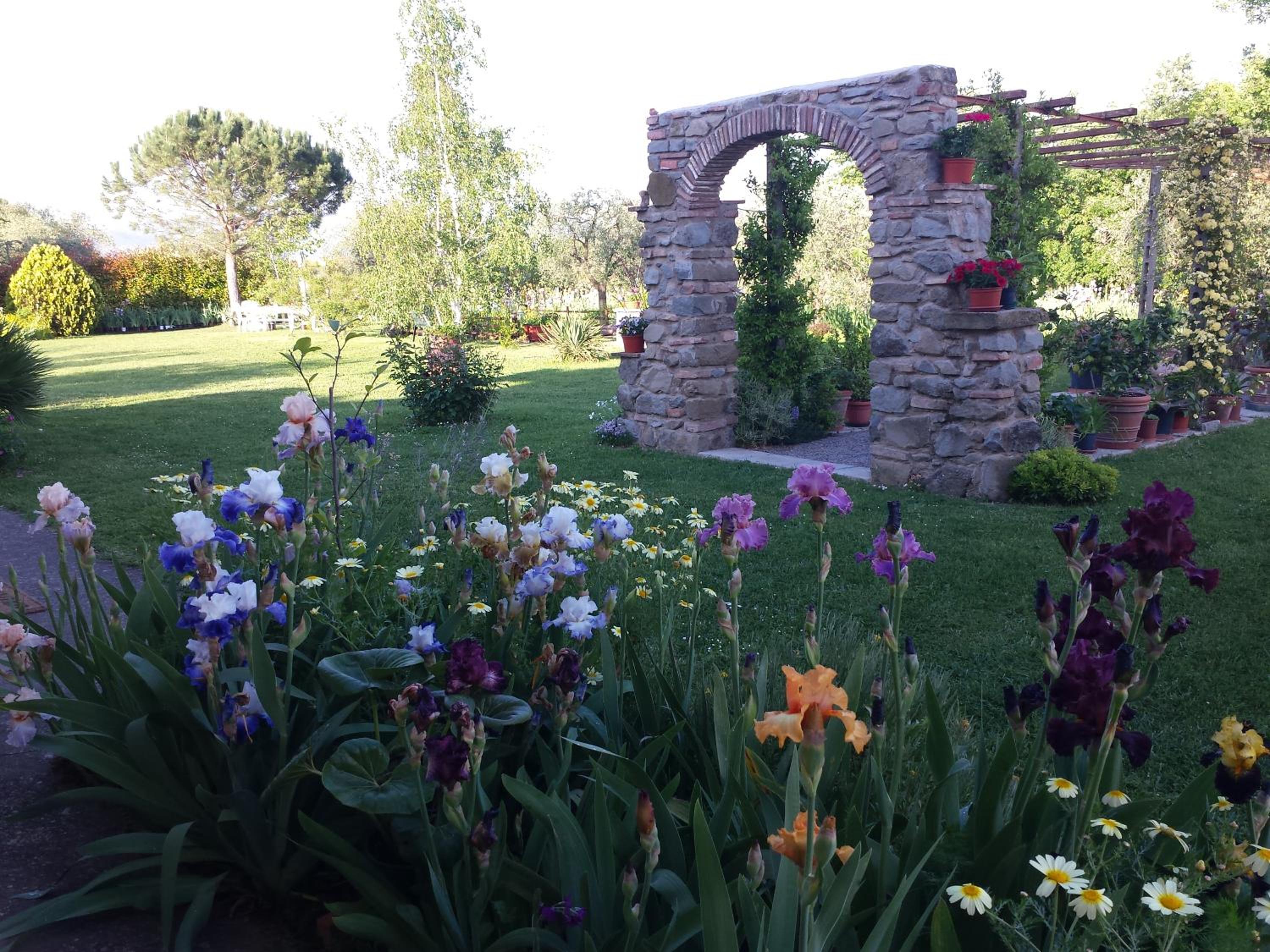 Photo 15