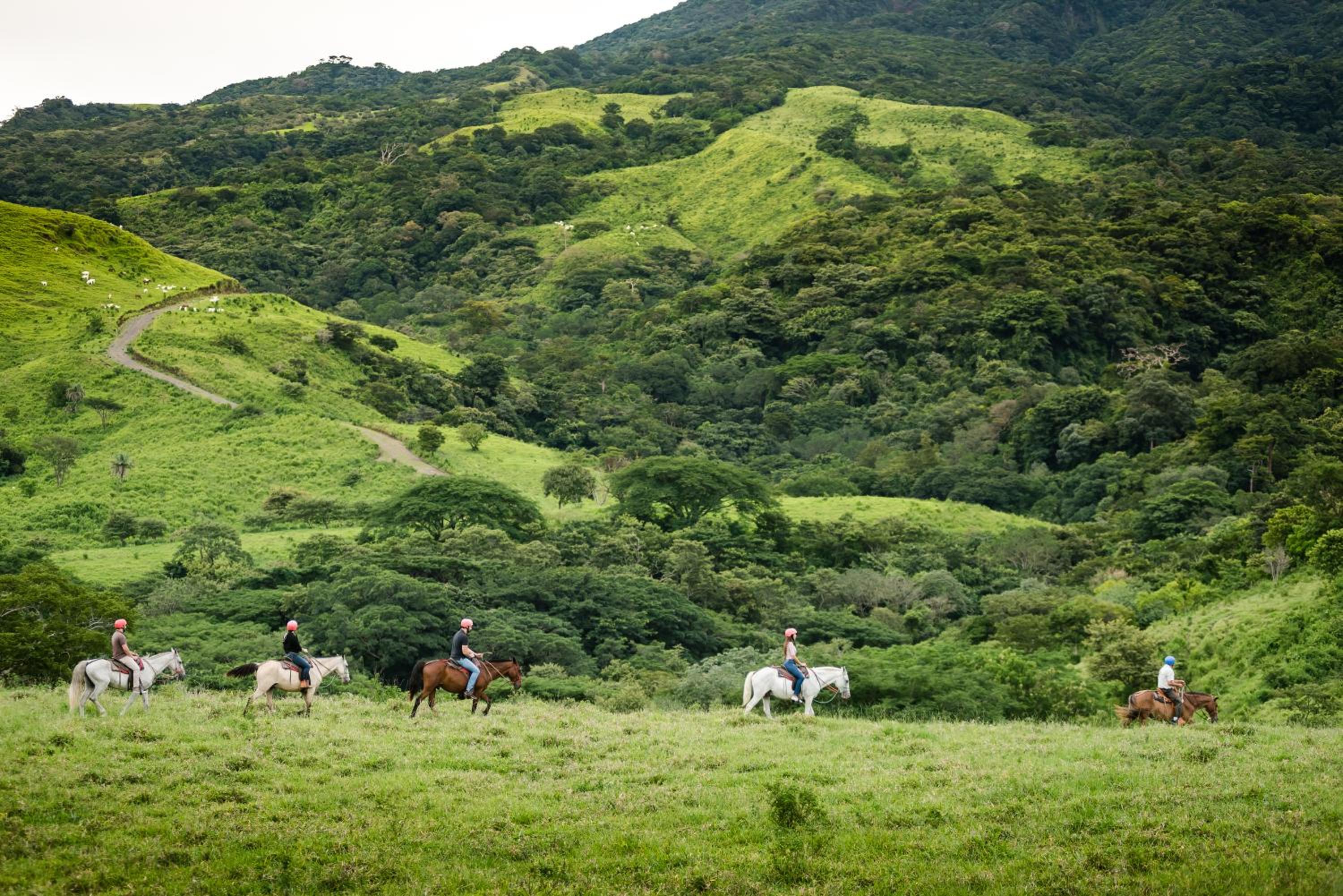 Borinquen Thermal Resort