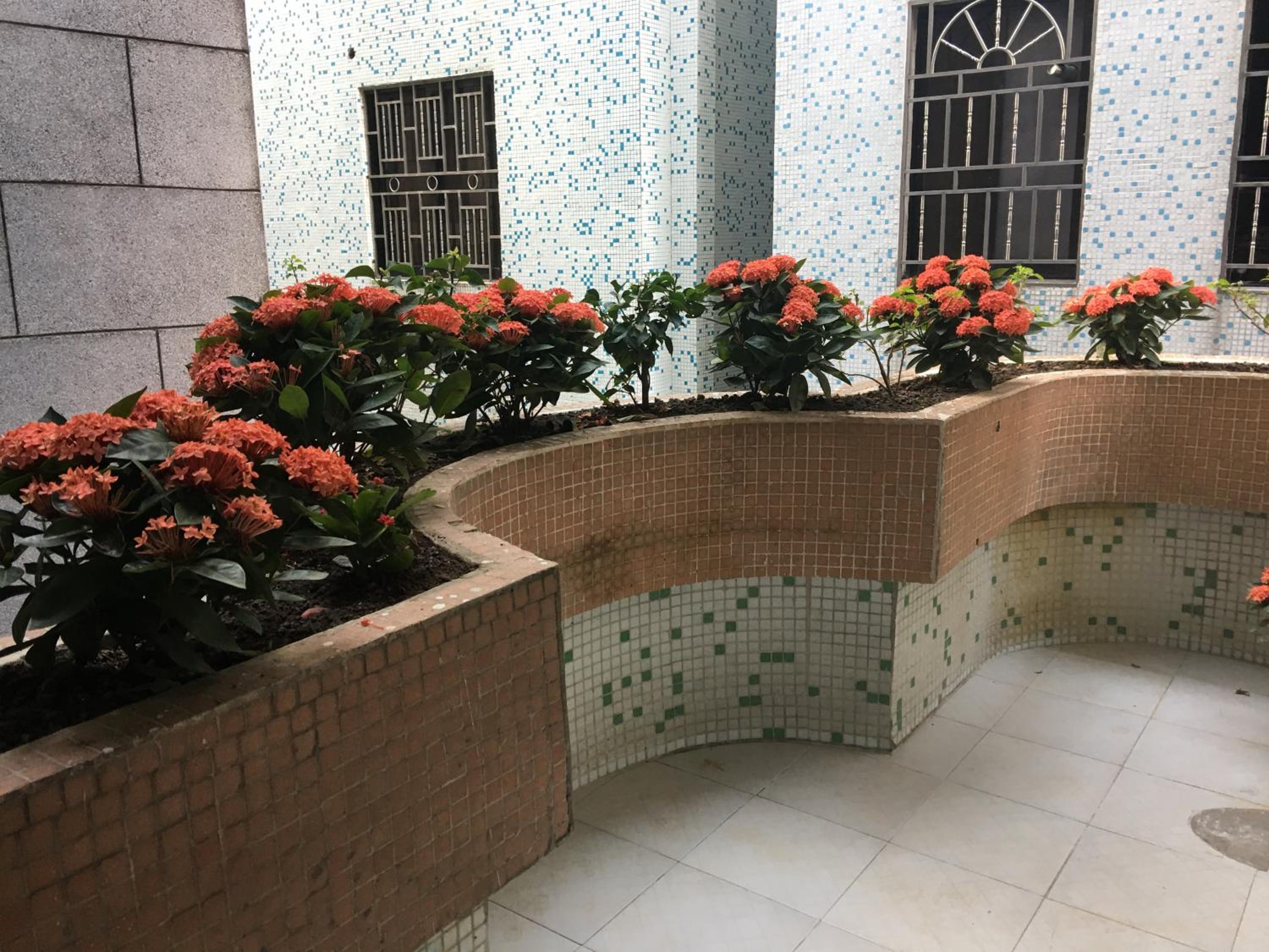 March Garden next to the Furniture Market