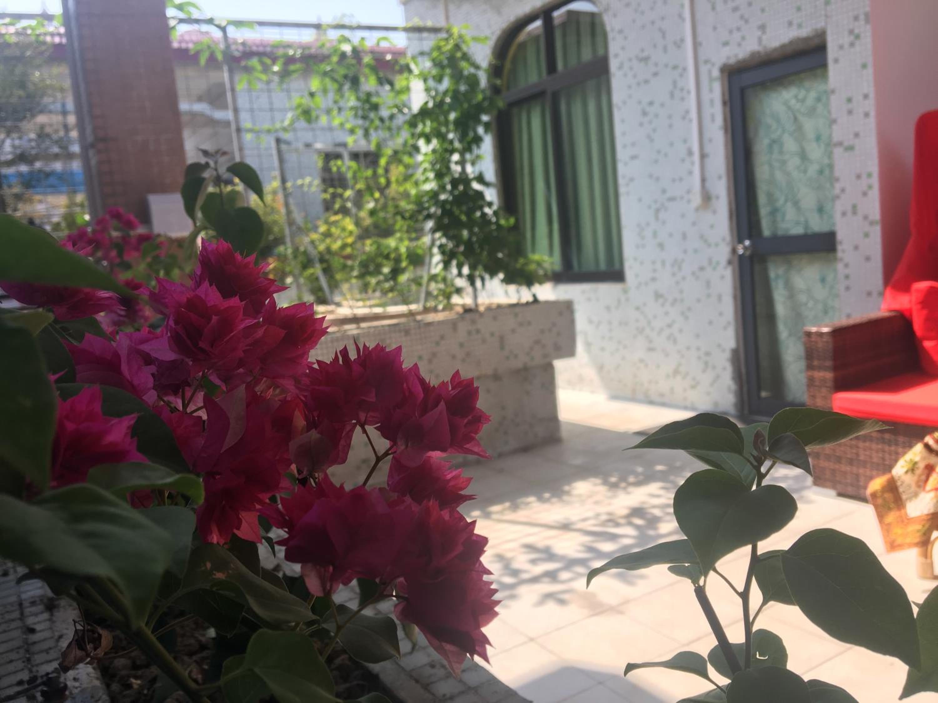 March Garden next to the Furniture Market
