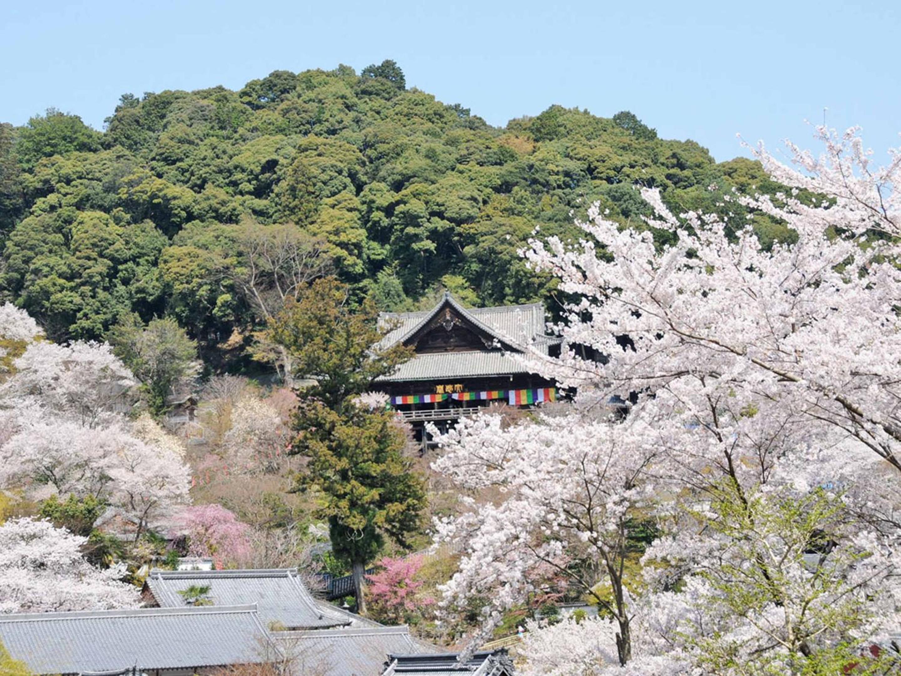 Itaniya