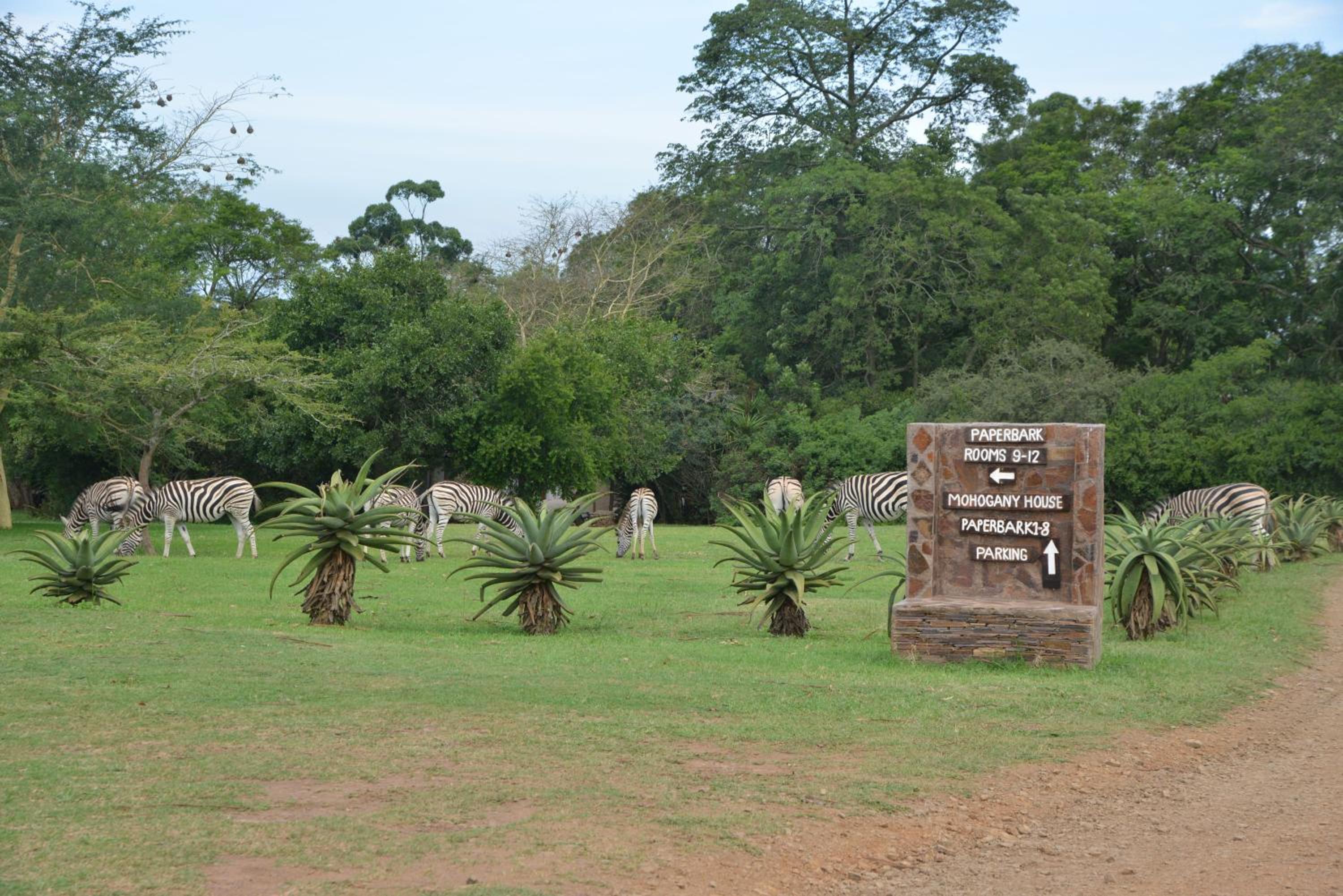 Tala Private Game Reserve