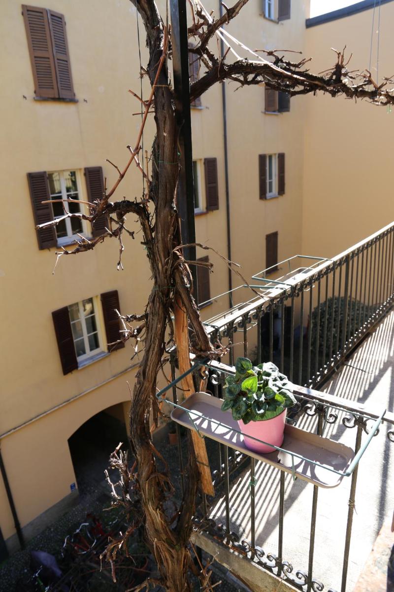 Naviglio Grande Apartment photo 5