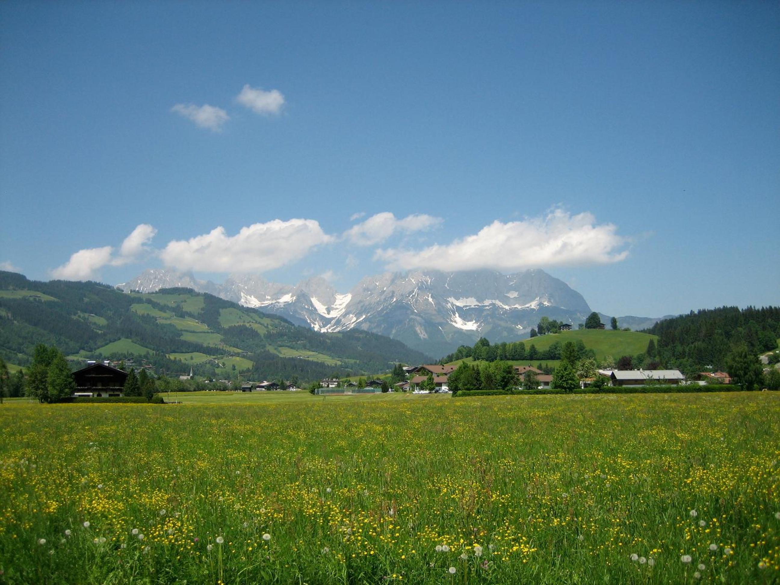 Photo 36