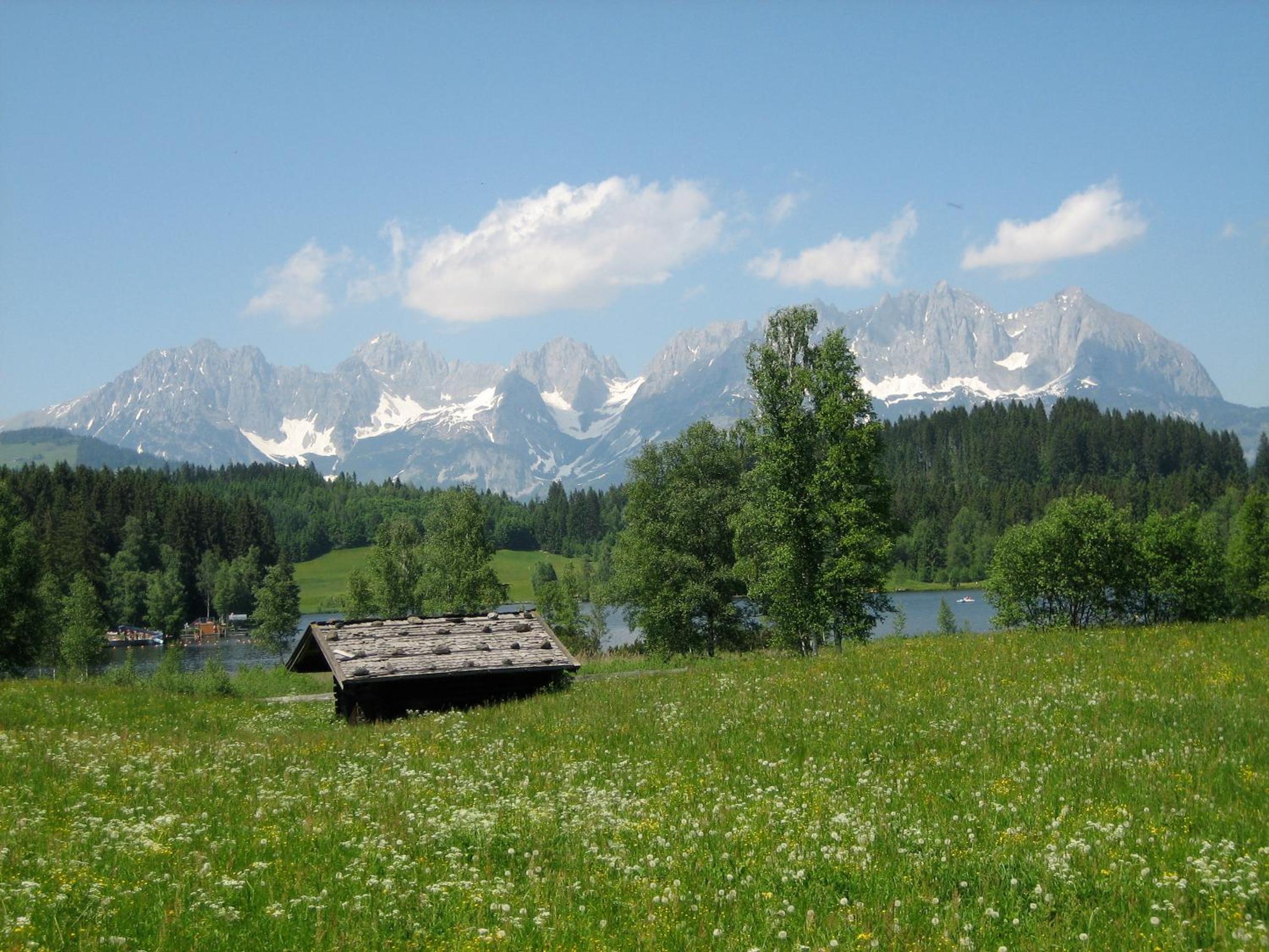 Photo 38
