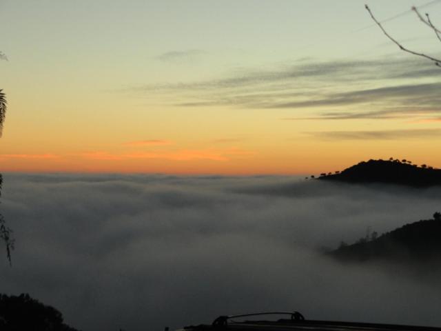 Photo 49