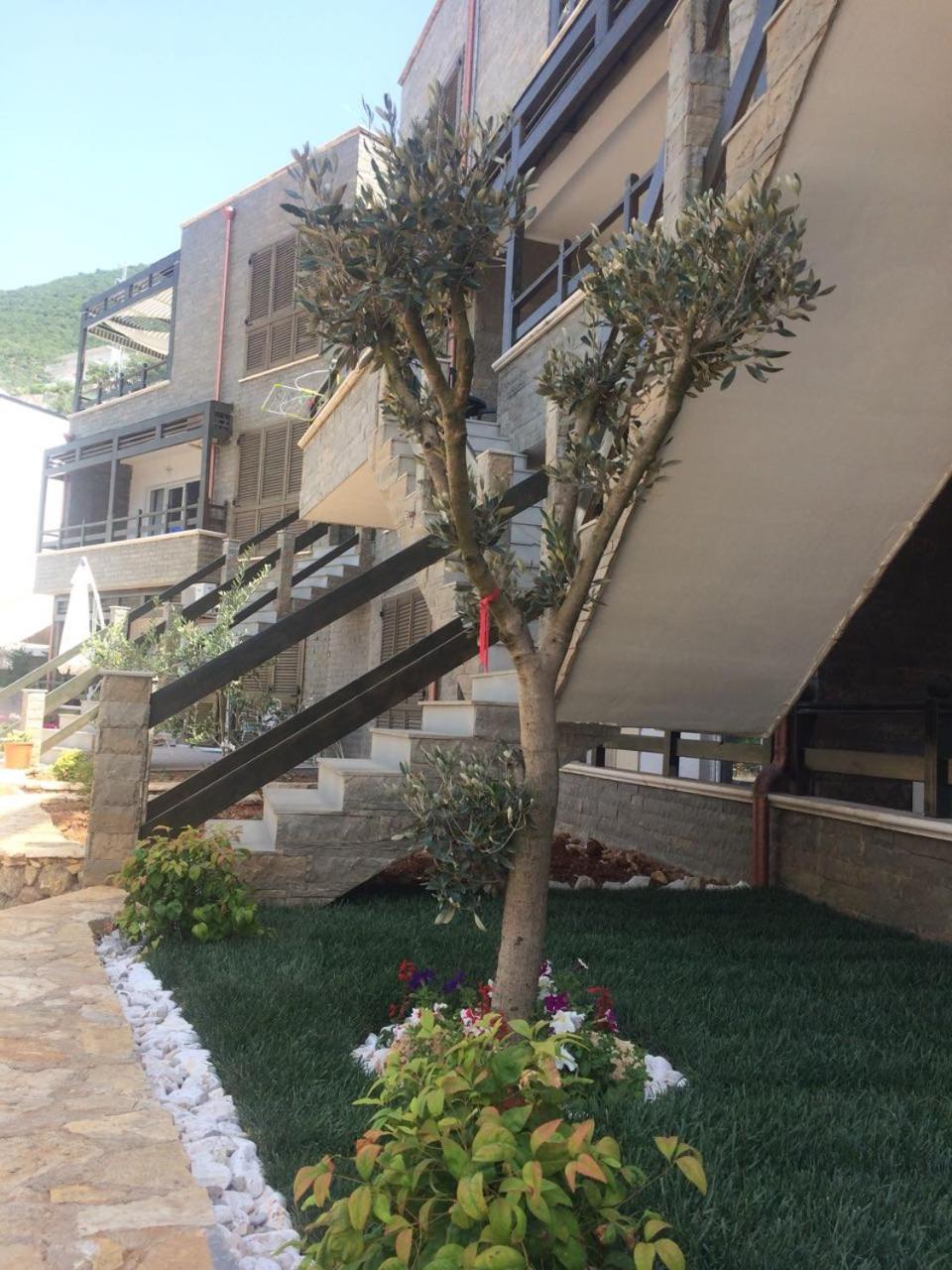 Aldi`s Guest House