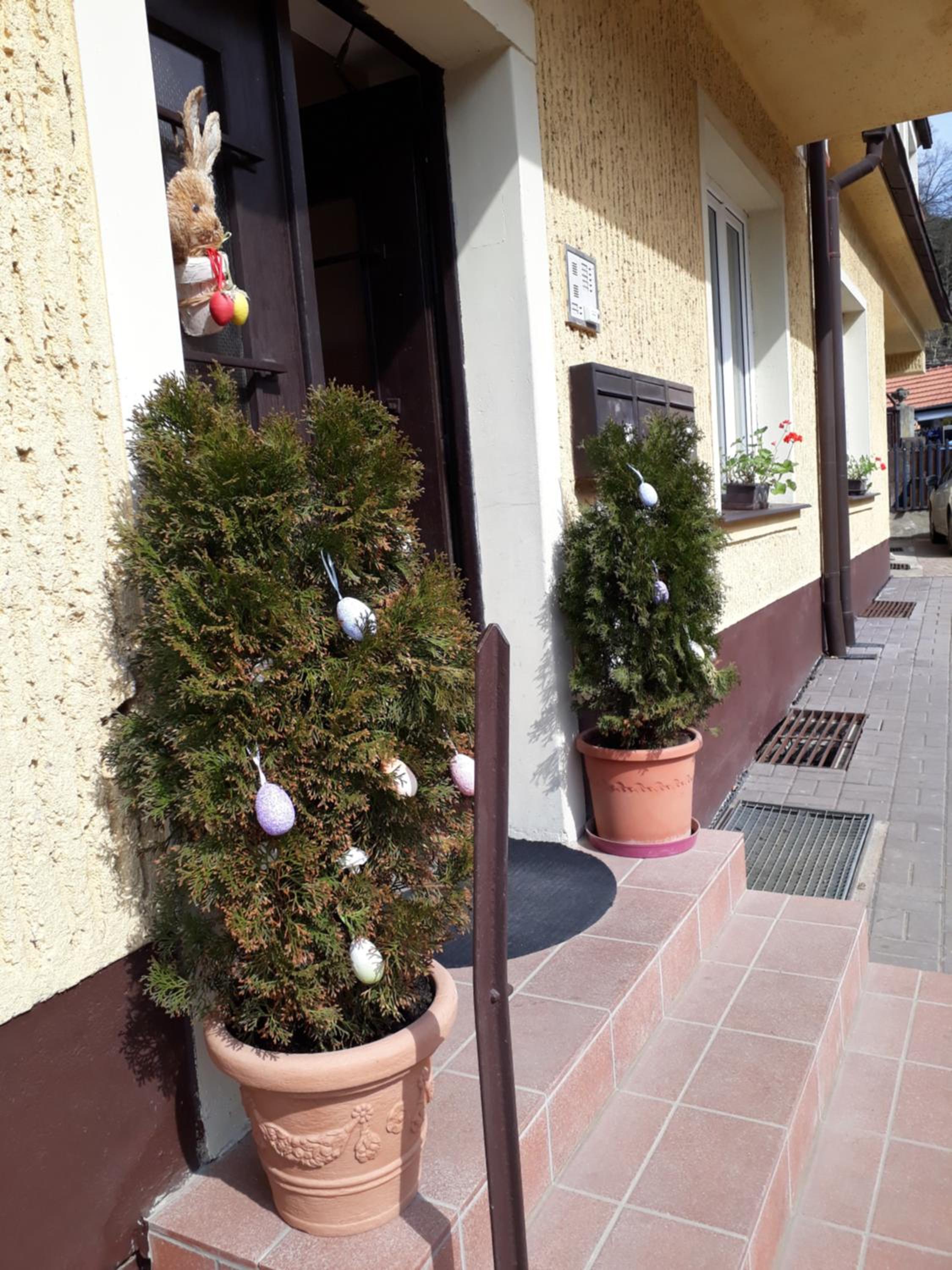 Photo 43