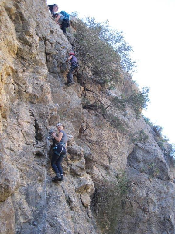 Photo 42
