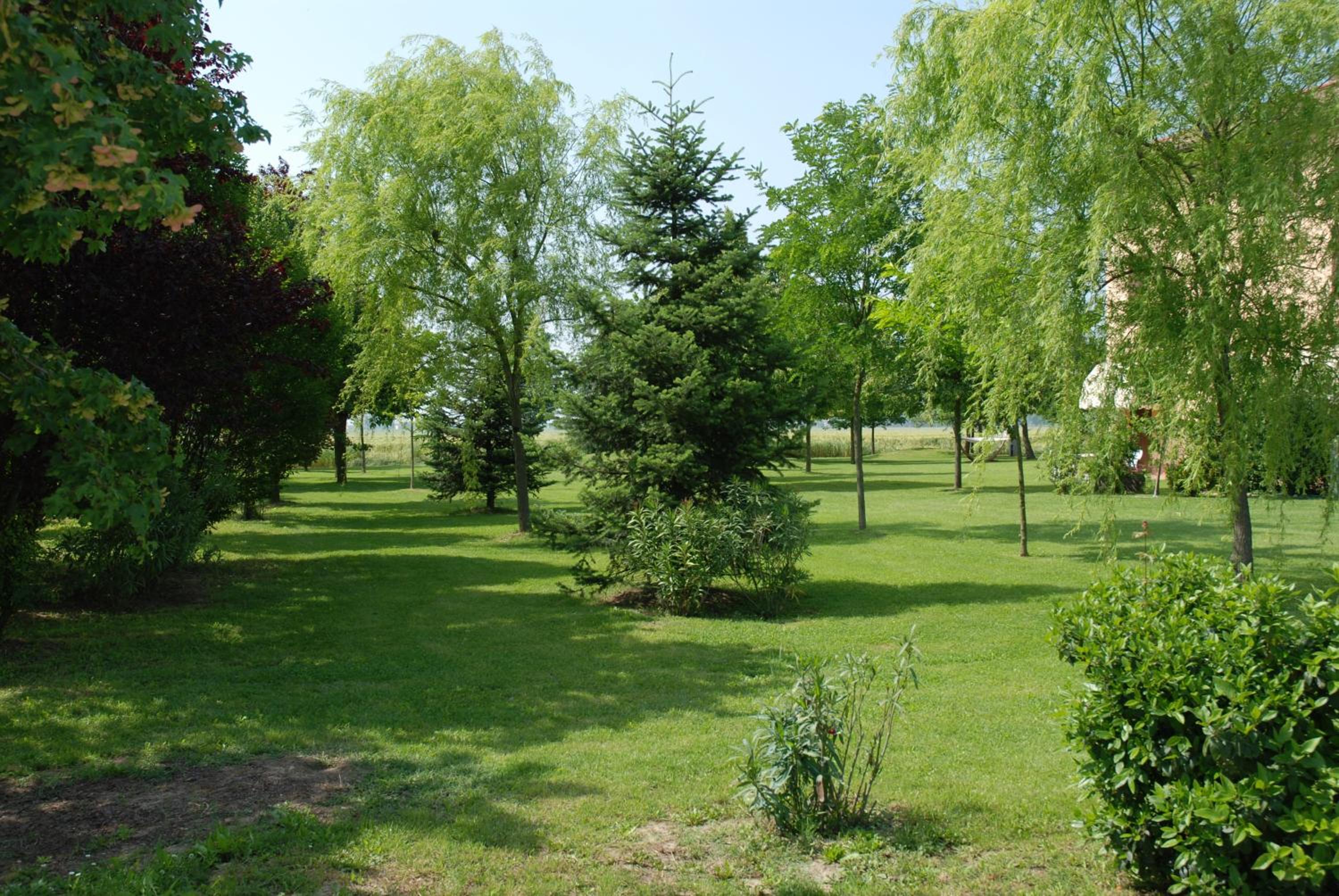 Photo 44
