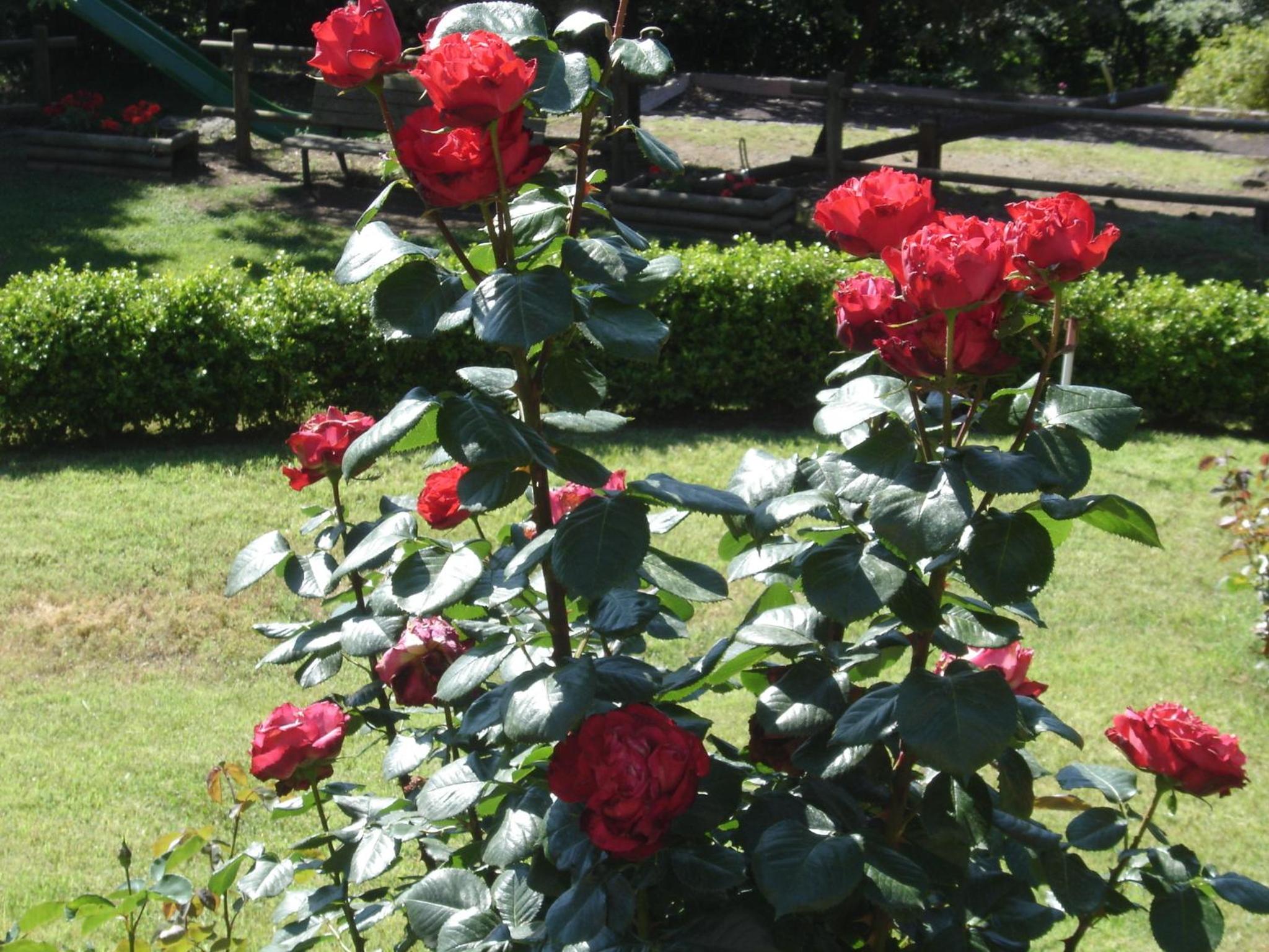 Photo 22
