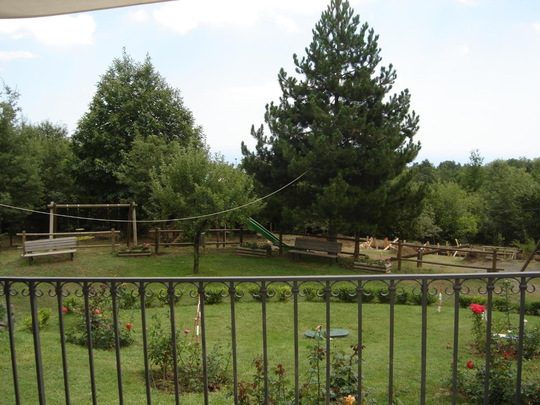 Photo 45
