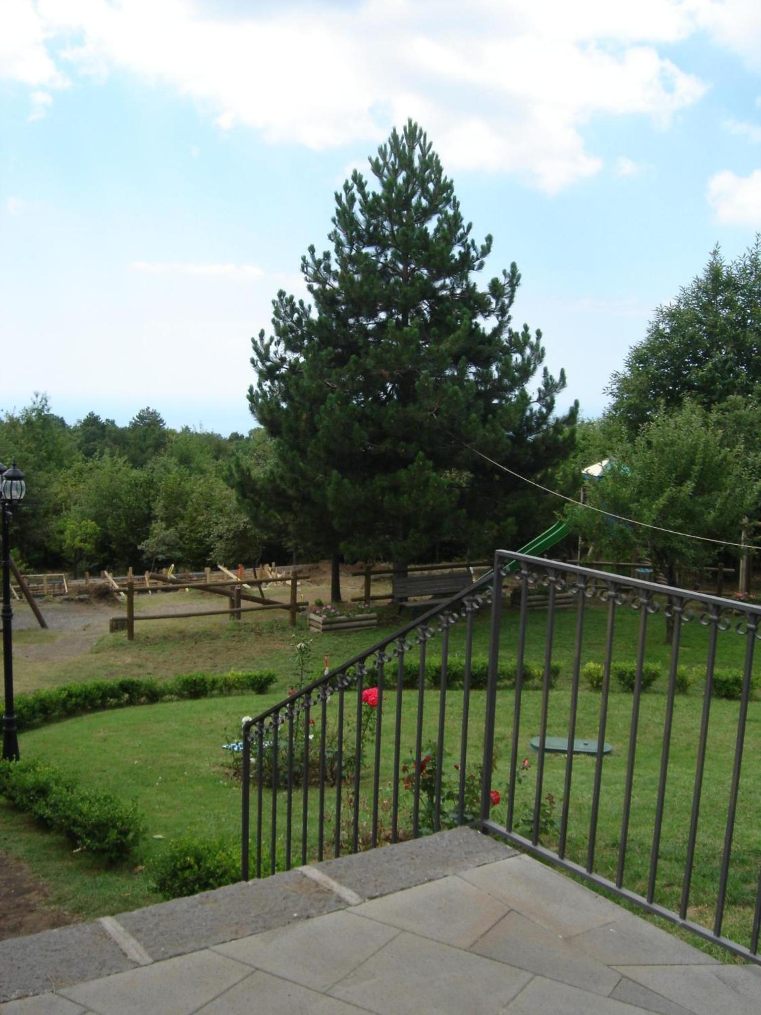 Photo 43