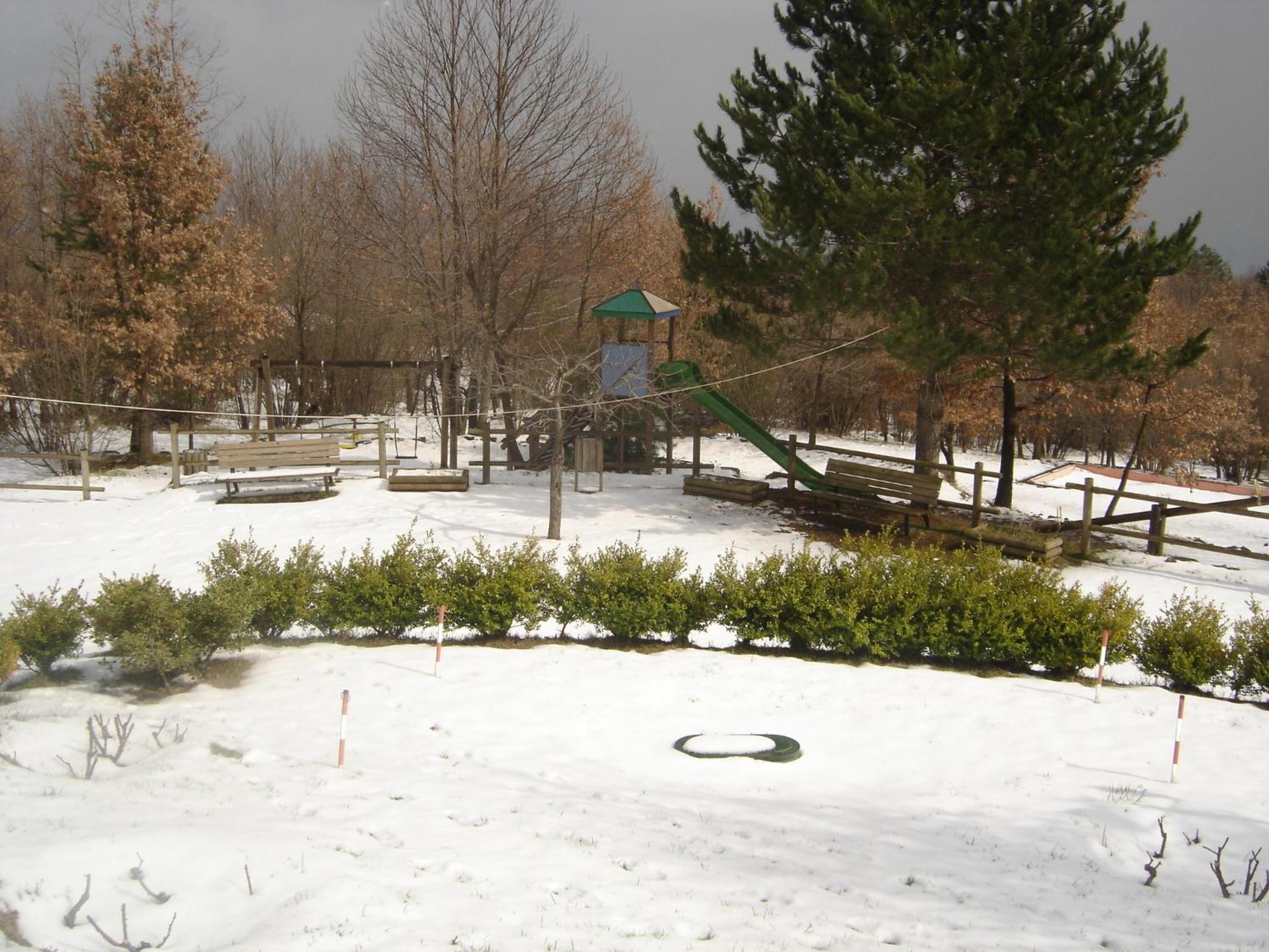 Photo 49