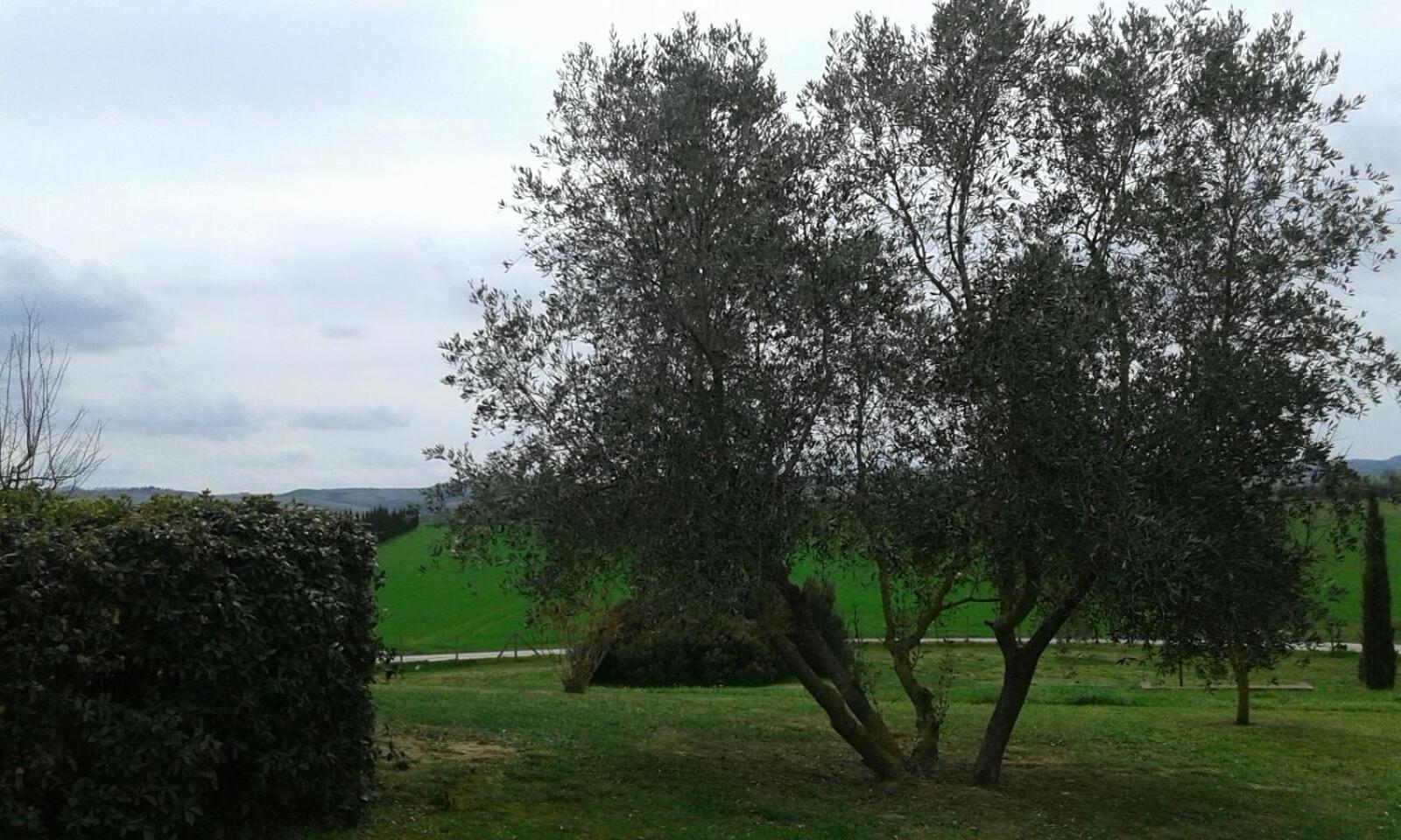 Casa Country House Girasole vakantie huis-WAKACJE HUIS