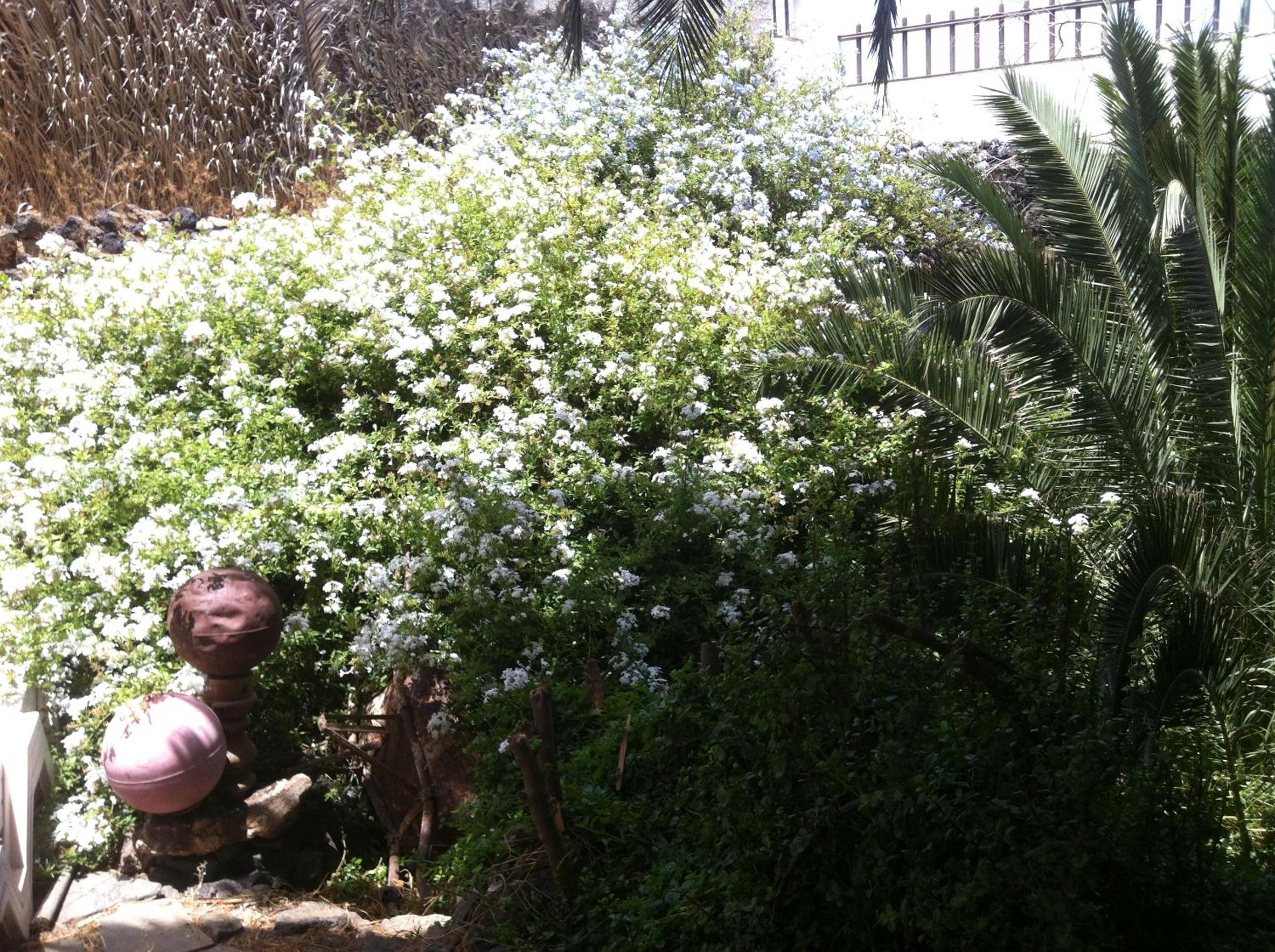 Photo 38